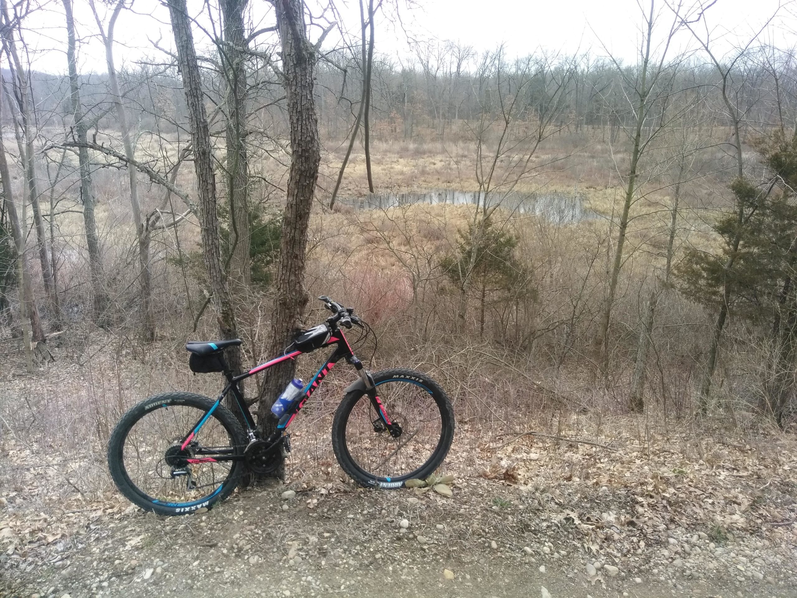 Mountain bike resting against a tree on a trail, with a scenic view of a wetland and bare trees in the background. The surroundings are a mix of brown grass and shrubs, indicating a late autumn or early spring setting. DTE Energy Foundation Trail mountain bike trail.
