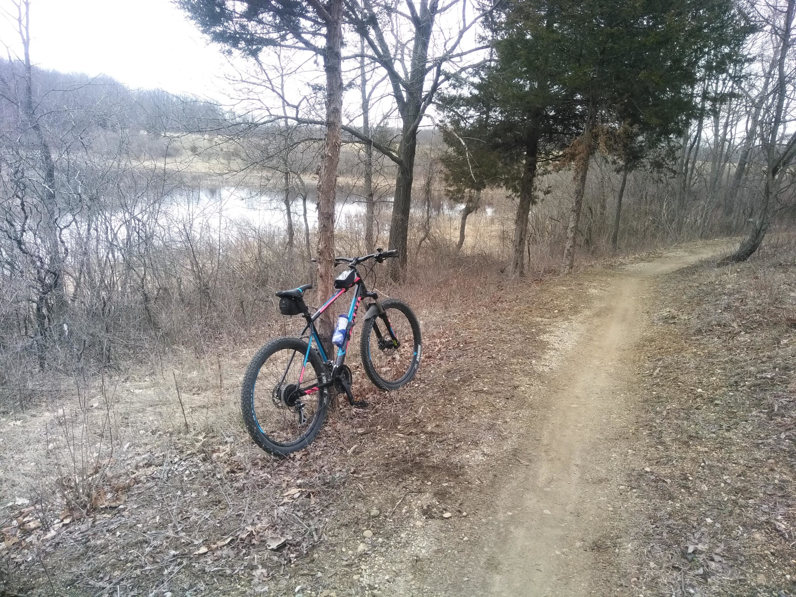 A mountain bike resting against a tree, situated on a dirt trail beside a lake surrounded by bare trees and winter foliage. The scene captures a tranquil outdoor setting ideal for biking and nature exploration. DTE Energy Foundation Trail mountain bike trail.