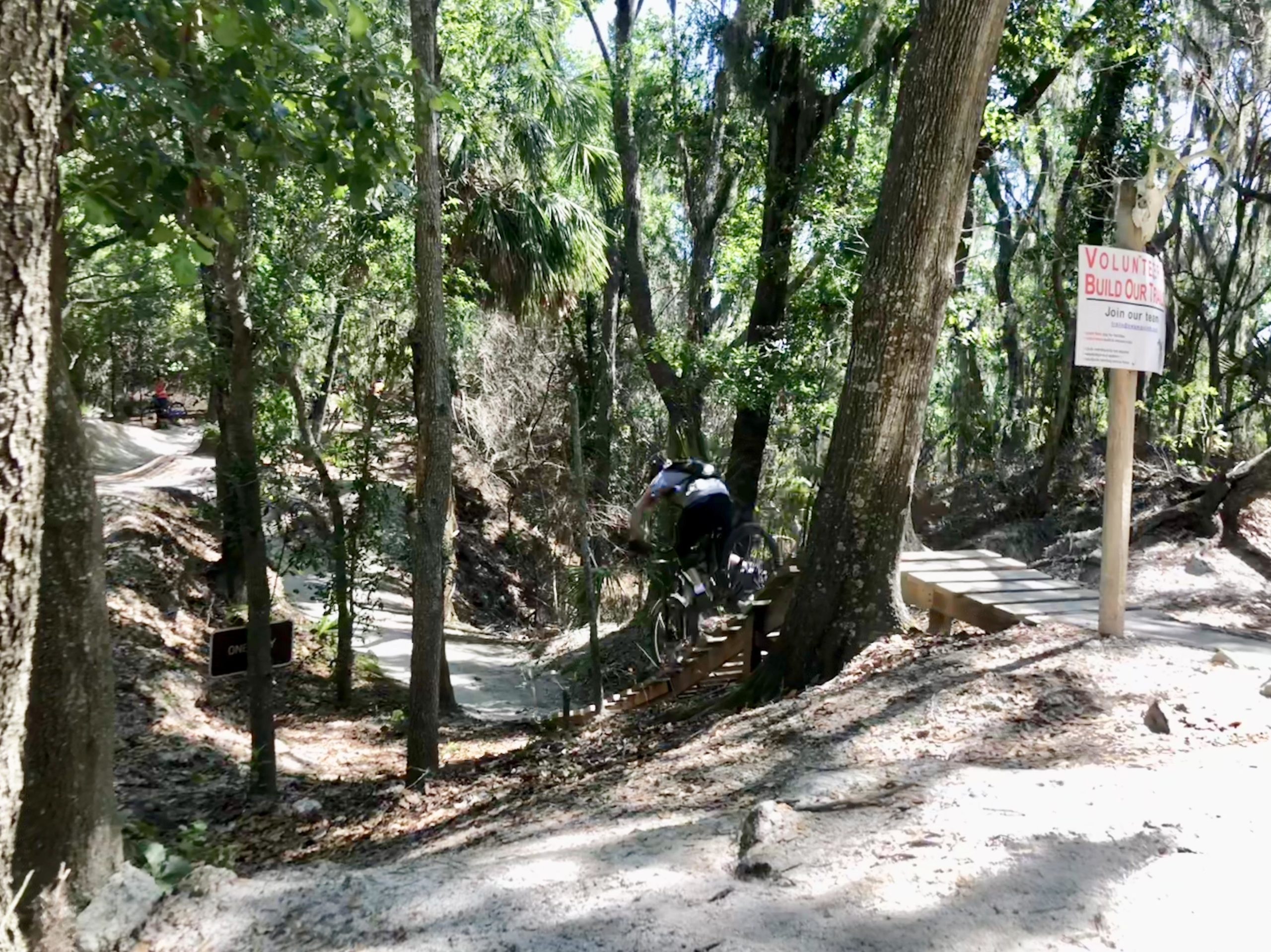 A mountain biker navigating a wooden ramp in a lush, wooded area with trees and greenery surrounding the trail. A sign promoting volunteer trail building is visible nearby, along with a winding dirt path in the background. Alafia River State Park mountain bike trail.