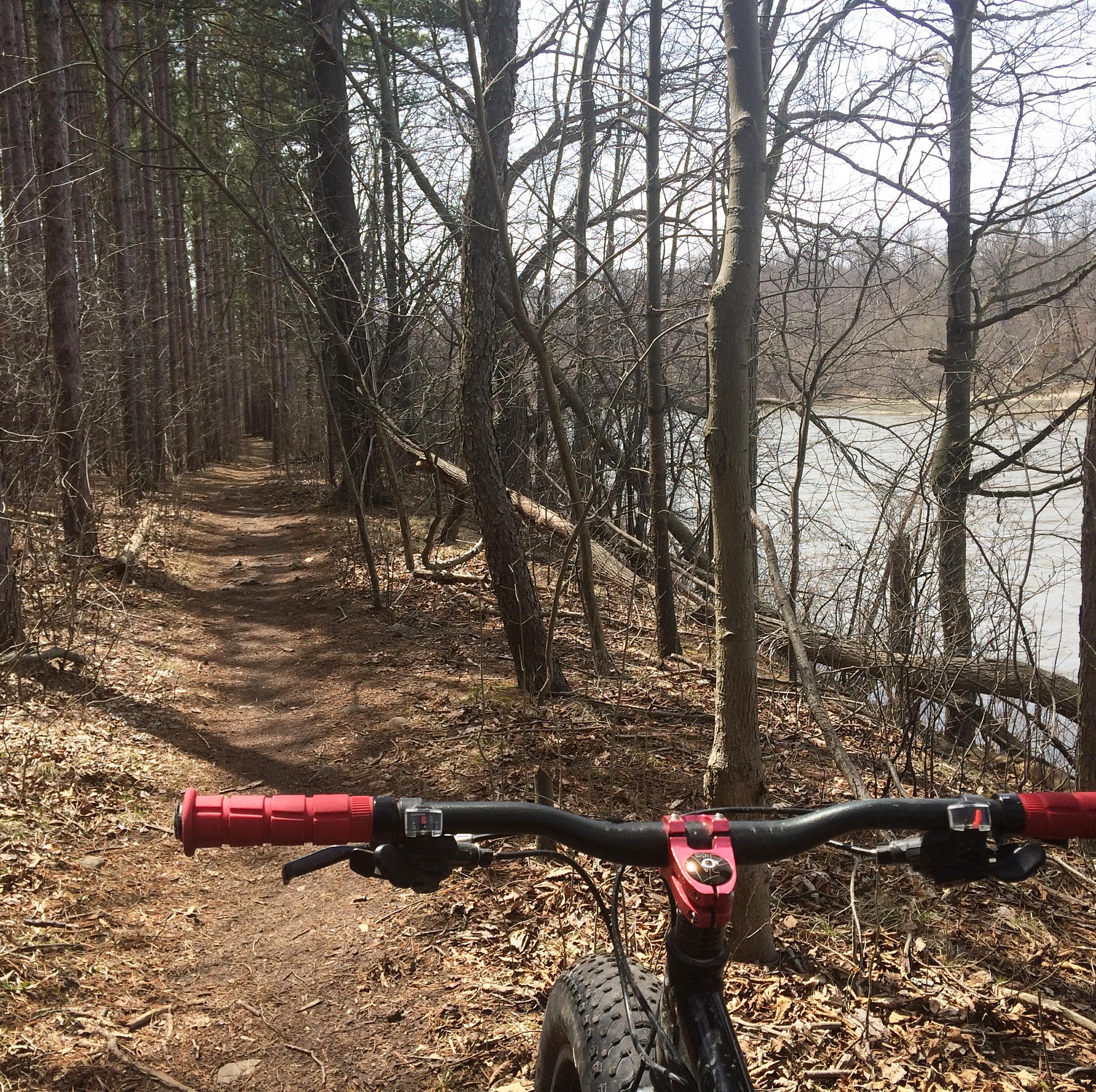 A view from a mountain bike handlebars on a wooded trail, with bare trees and a river visible on the right. The ground is covered in fallen leaves, and the path is narrow, winding through the forest. The scene suggests a peaceful outdoor adventure in early spring. Hardy Rd. Trail mountain bike trail.