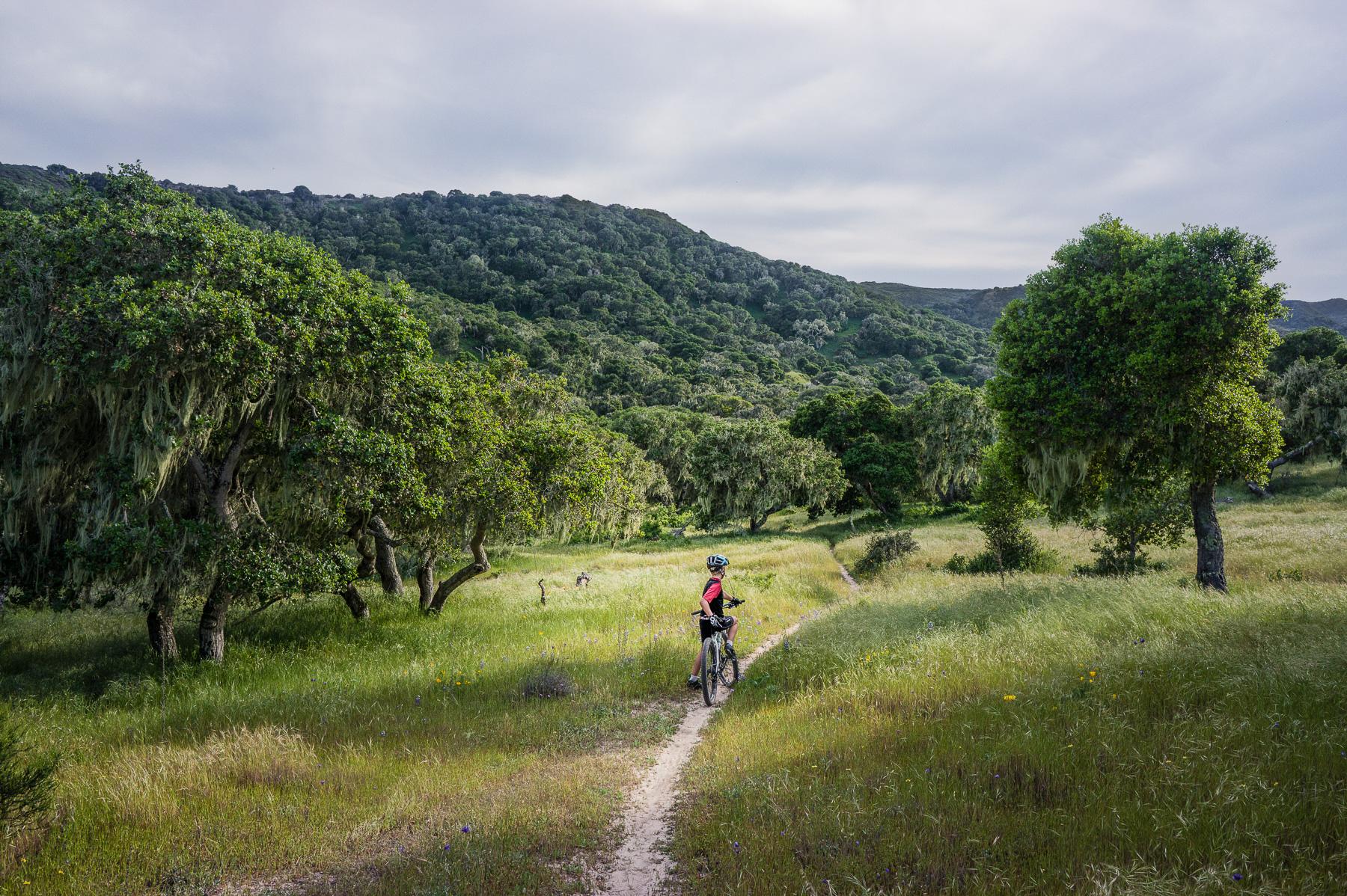 A person riding a bicycle on a grassy path surrounded by lush green trees and rolling hills under a cloudy sky. Fort Ord Public Lands mountain bike trail.