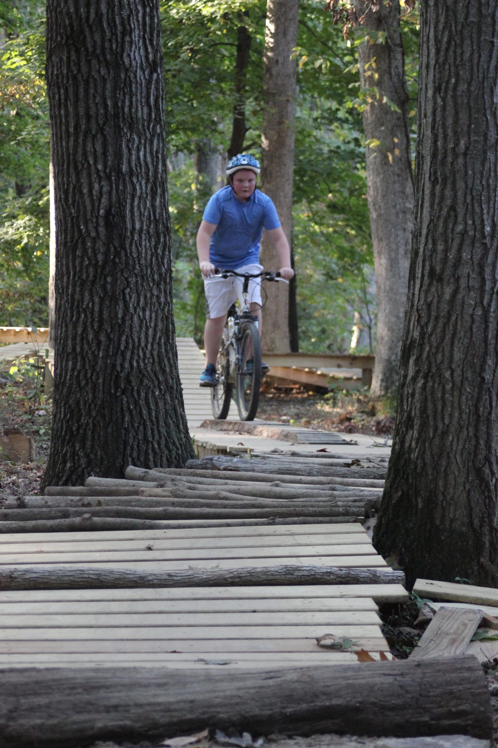 A young boy riding a mountain bike on a wooden trail through a wooded area, surrounded by tall trees. He is wearing a helmet and a blue shirt, focused on navigating the path made of planks and logs. The scene is set in a natural environment with dappled sunlight filtering through the leaves. Scales Lake Park Trails mountain bike trail.