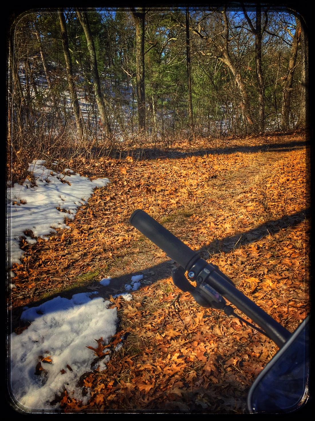 A view of a bike handlebar resting beside a path covered in autumn leaves, with patches of snow on the ground. The background features trees, some barren and others with green foliage, under a clear blue sky. Pinery Provincial Park mountain bike trail.