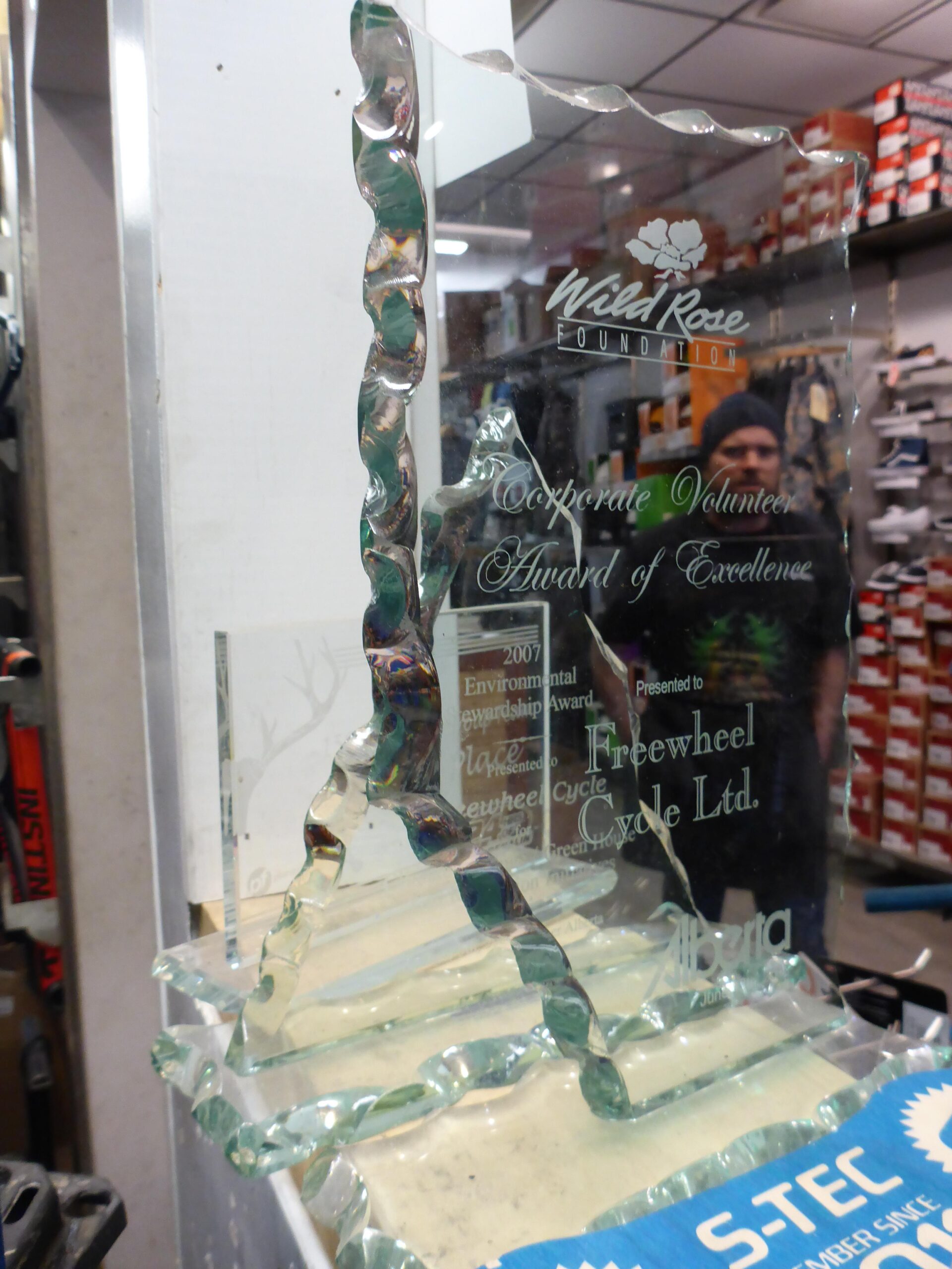 A glass award with a wavy design on the edge, engraved with the text "Wild Rose Foundation Corporate Volunteer Award of Excellence 2007 Environmental Stewardship Award Presented to Freewheel Cycle Ltd." The award is displayed on a workbench, with shelves of shoes visible in the background.