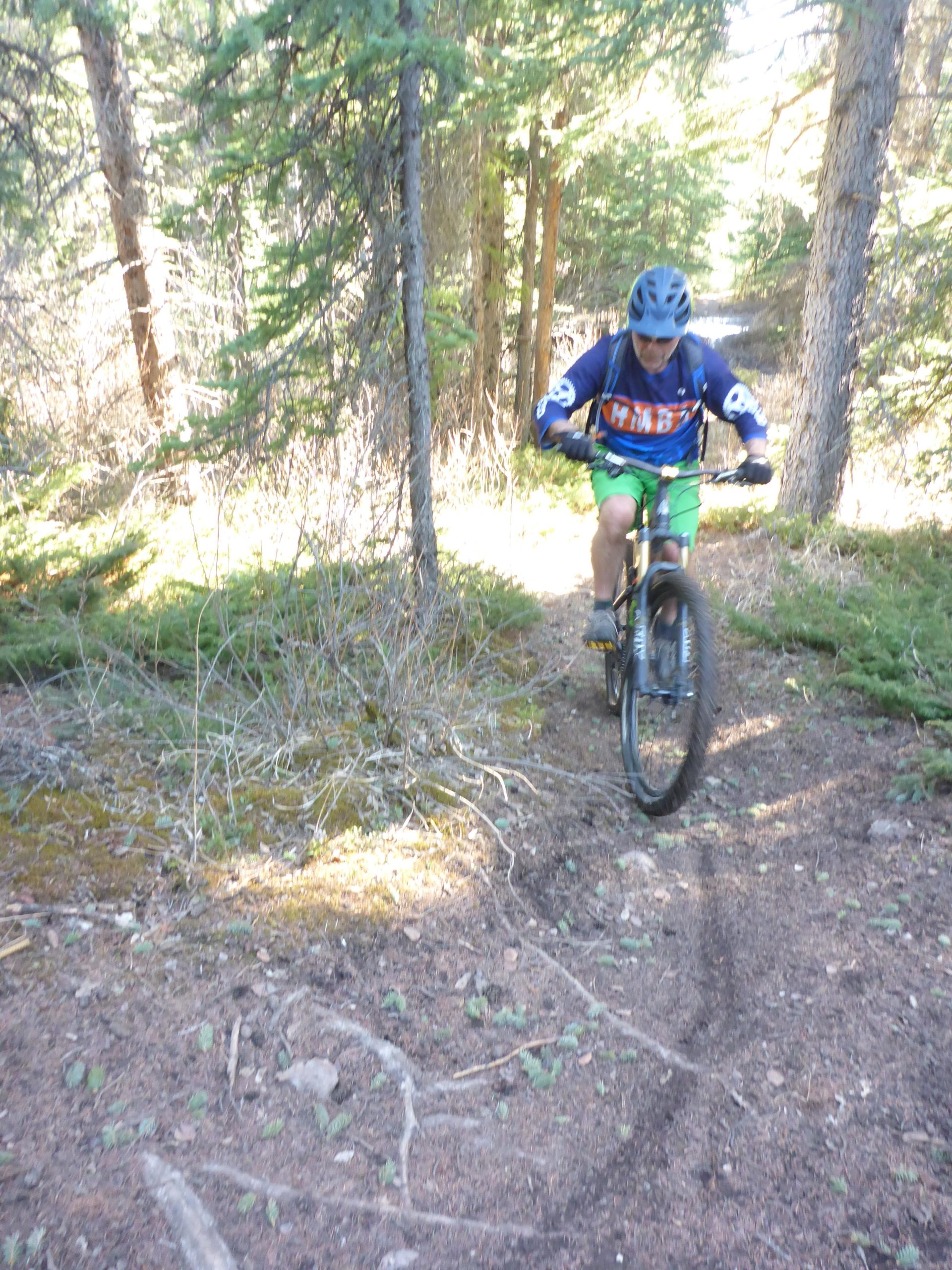A person riding a mountain bike along a narrow trail in a wooded area, surrounded by tall pine trees and patches of sunlight filtering through the foliage. The rider is wearing a helmet and colorful athletic clothing. Dusty Ridge mountain bike trail.