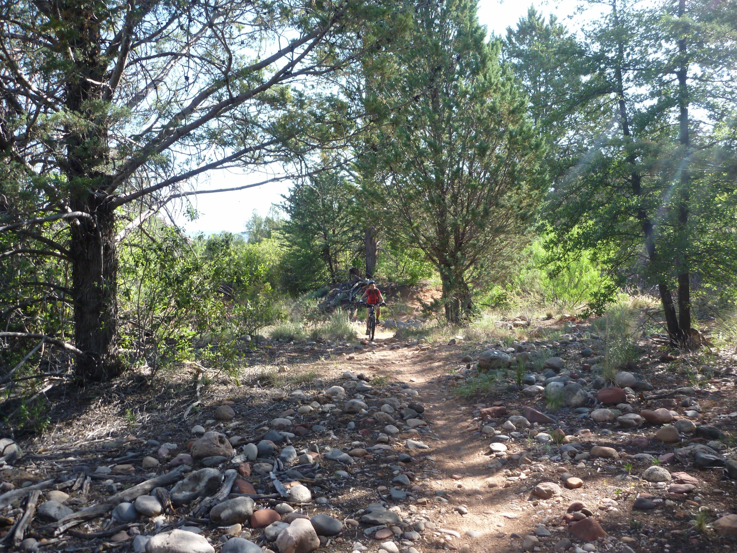 A person walking on a rocky trail surrounded by trees and lush greenery, with sunlight filtering through the branches. Upper Dry Creek Area Trails mountain bike trail.
