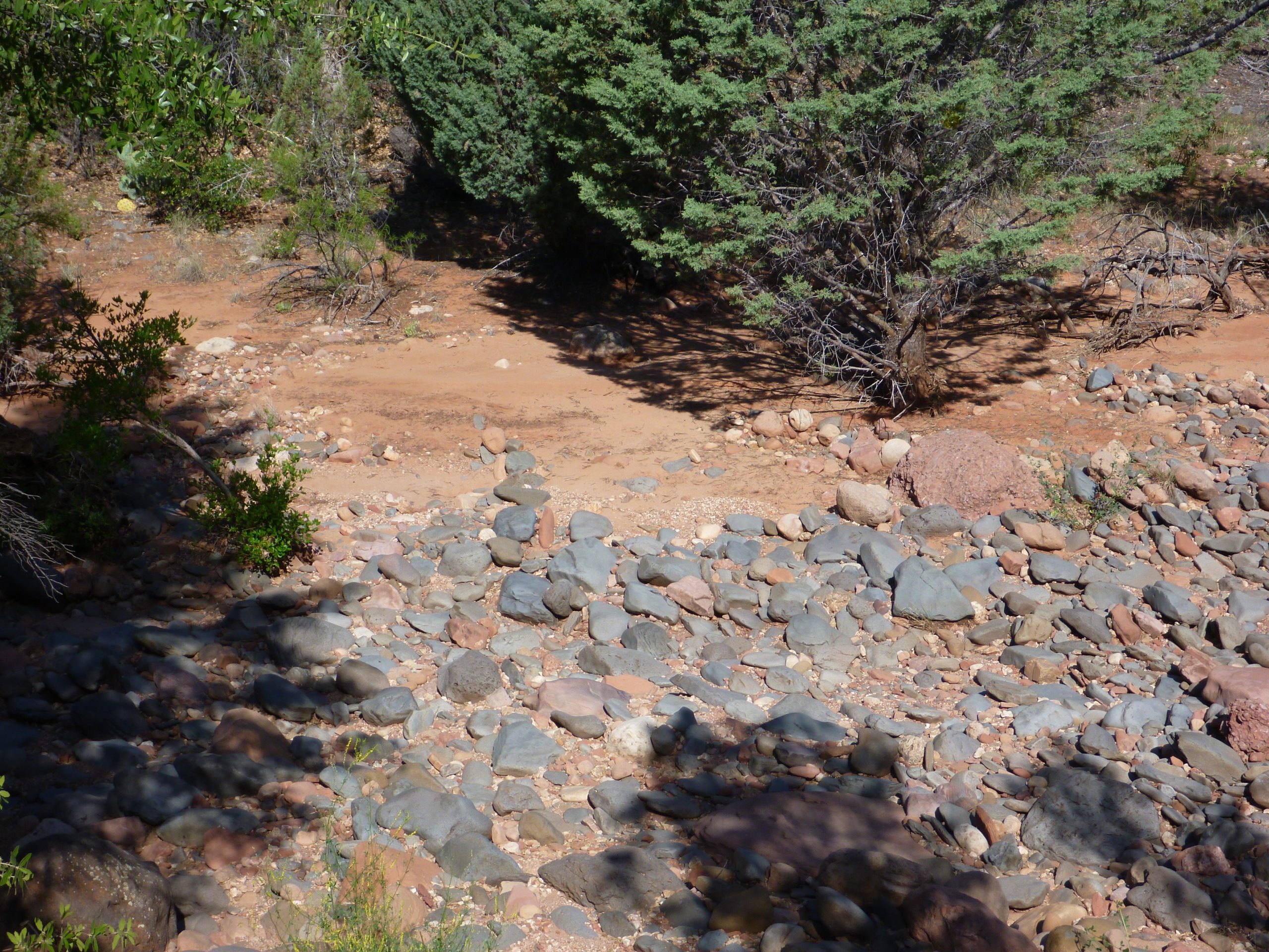 A rocky landscape with various sizes of smooth stones and pebbles scattered across a sandy area, framed by a few patches of greenery and sparse bushes. Sunlight casts shadows on the ground, highlighting the natural textures of the stones and earth. Upper Dry Creek Area Trails mountain bike trail.