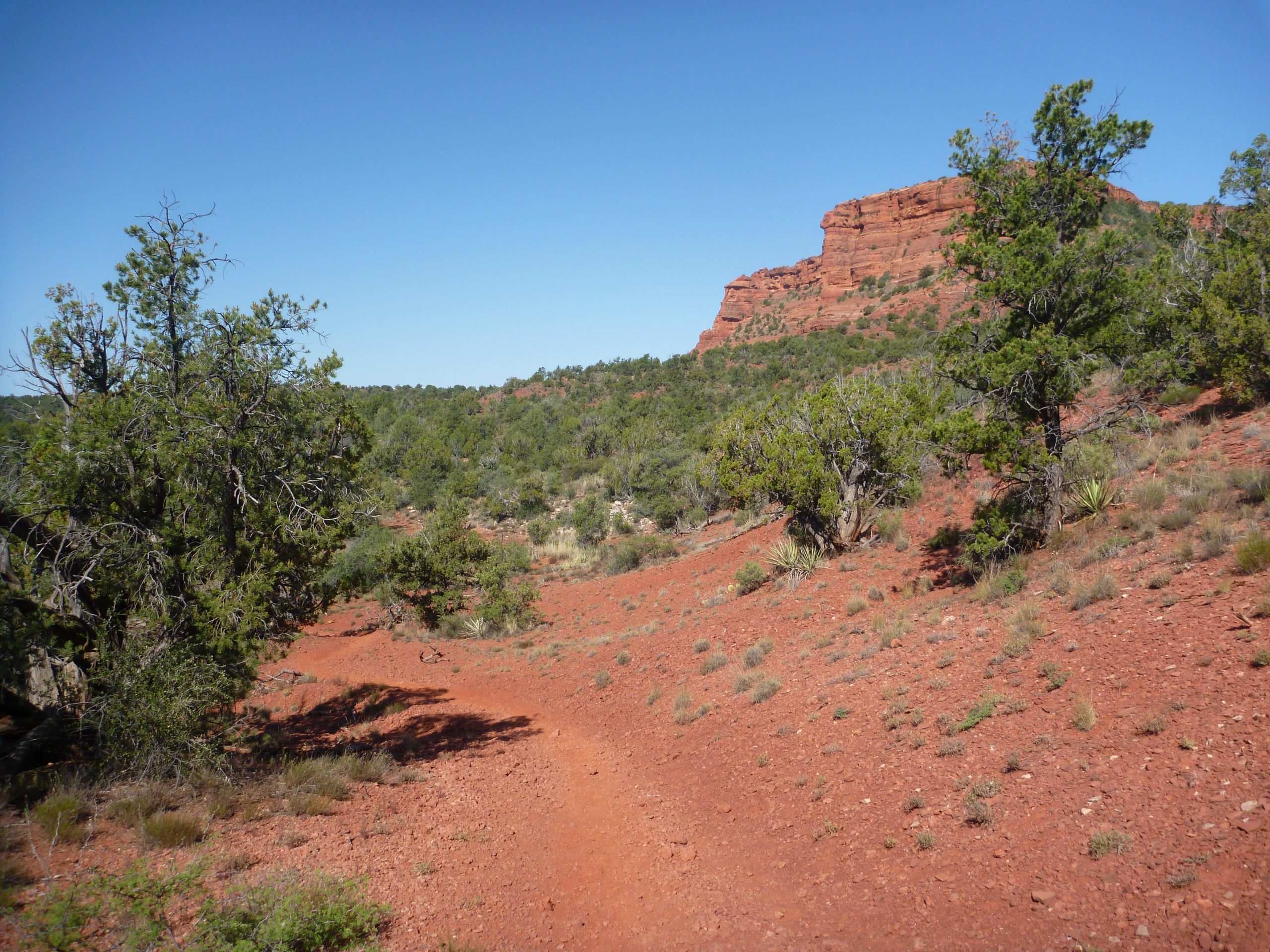 A dirt trail winding through a desert landscape with red soil, surrounded by green shrubs and trees, leading toward a distant rocky outcrop under a clear blue sky. Upper Dry Creek Area Trails mountain bike trail.