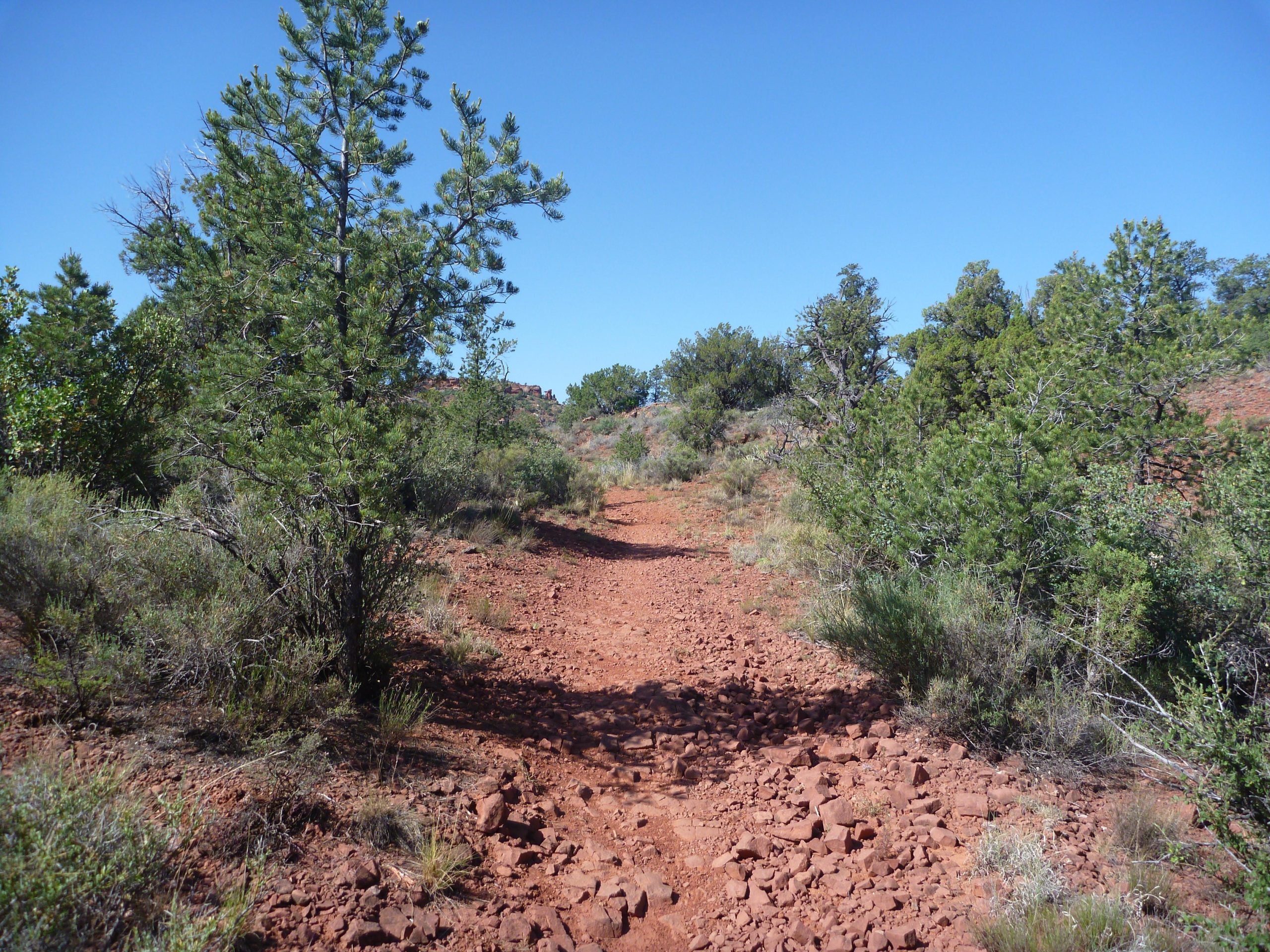 A dirt path winds through a landscape filled with scattered shrubs and trees under a clear blue sky. The ground is rocky and reddish-brown, suggesting a natural outdoor setting, possibly in a hilly or mountainous area. Upper Dry Creek Area Trails mountain bike trail.