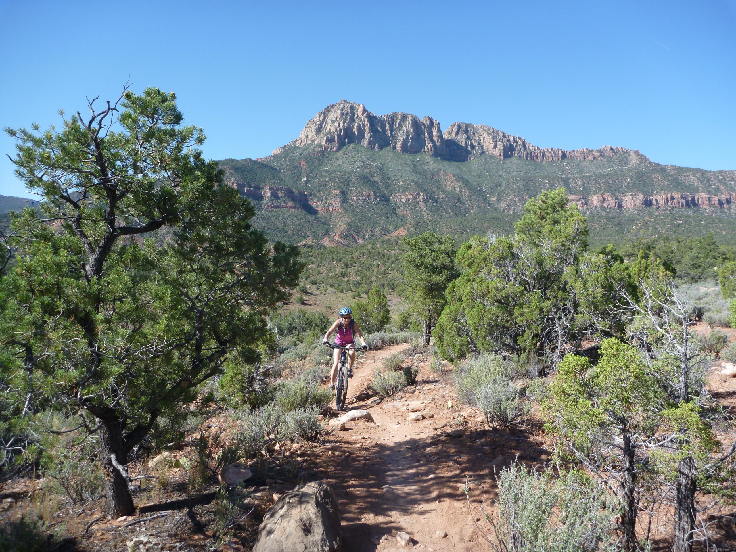 A mountain biker navigating a dirt trail surrounded by trees and shrubs, with a backdrop of rugged mountains and a clear blue sky. Wire Mesa Loop mountain bike trail.