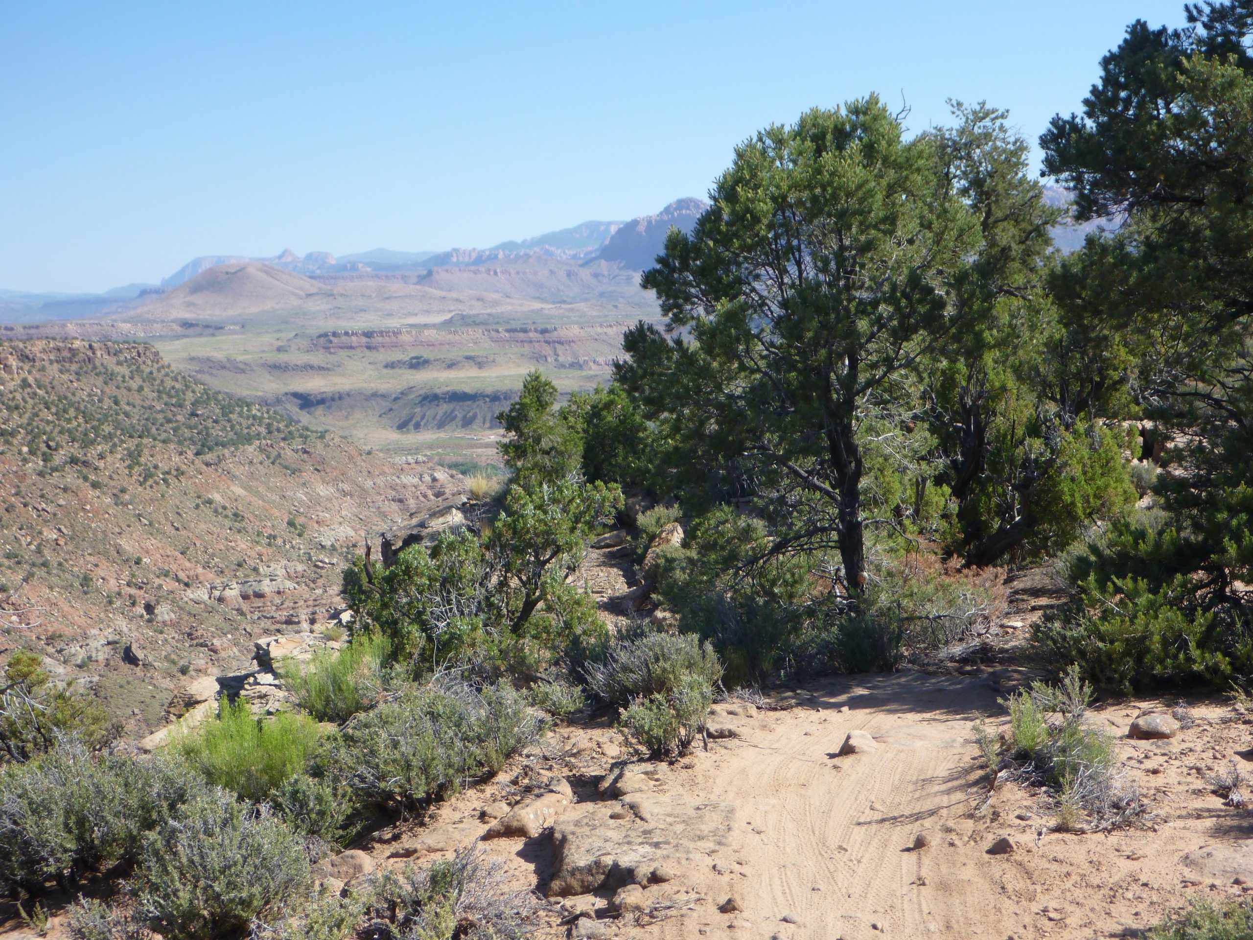 A scenic view of a desert landscape featuring rolling hills, rocky terrain, and sparse vegetation. A dirt trail winds through the foreground, bordered by shrubs and trees, with a clear blue sky above. The distant mountains create a picturesque backdrop, showcasing the natural beauty of the region. Wire Mesa Loop mountain bike trail.