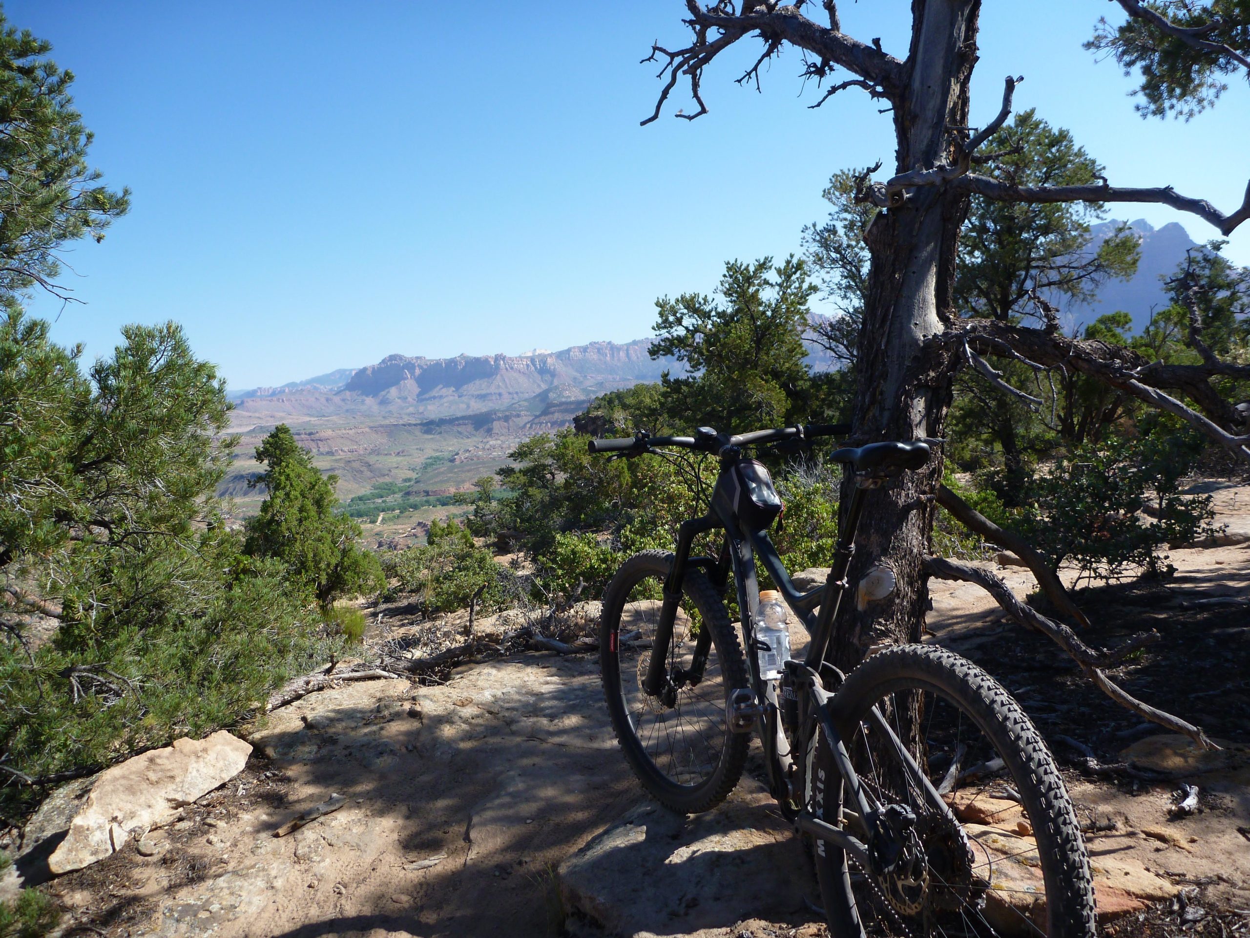 A mountain bike resting against a tree with a scenic view of mountains and green valleys in the background under a clear blue sky. Wire Mesa Loop mountain bike trail.