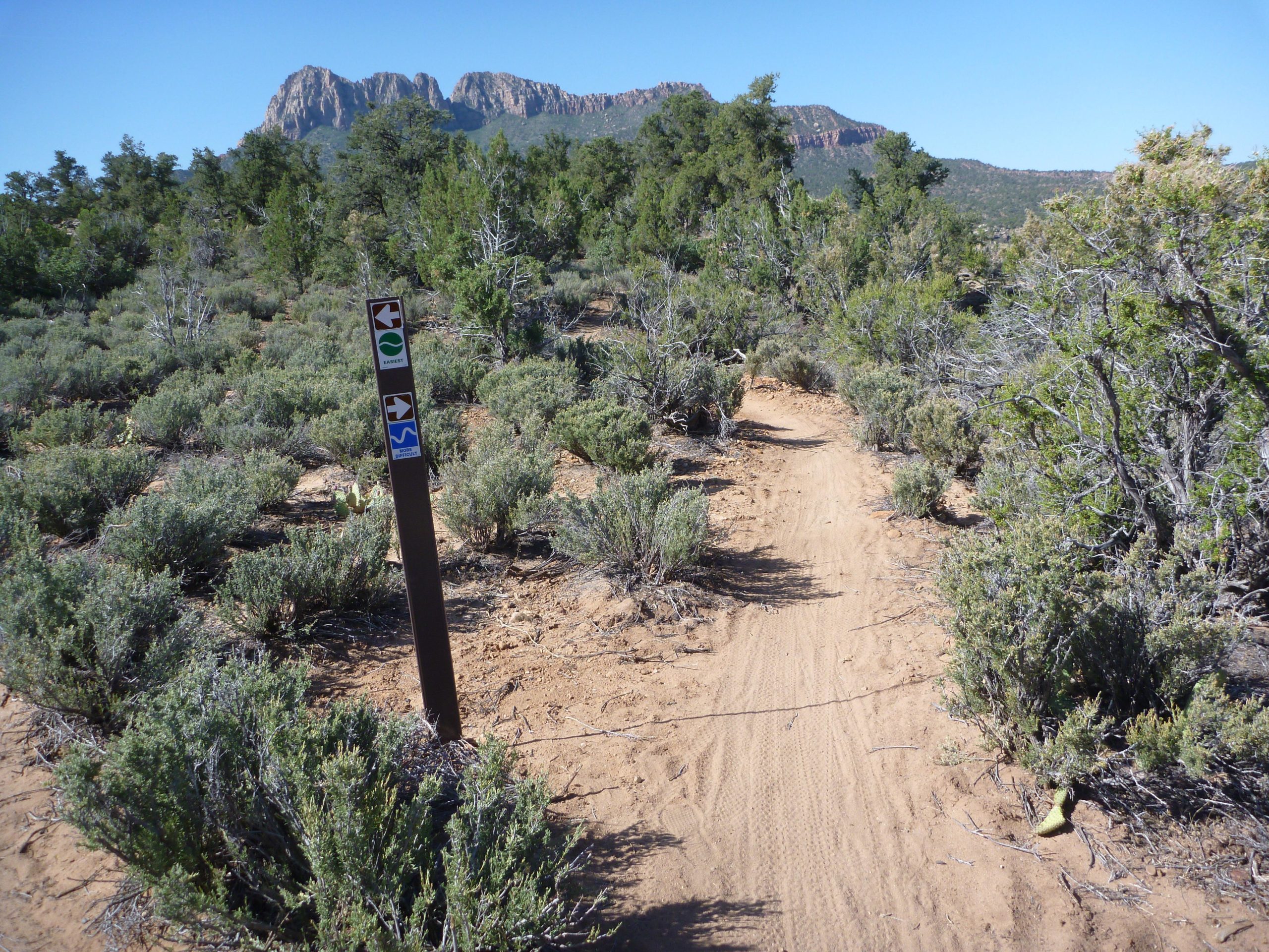A dirt hiking trail surrounded by low shrubbery and trees, leading towards distant rocky mountains under a clear blue sky. A signpost with directional arrows and symbols indicating trail access is visible along the path. Wire Mesa Loop mountain bike trail.