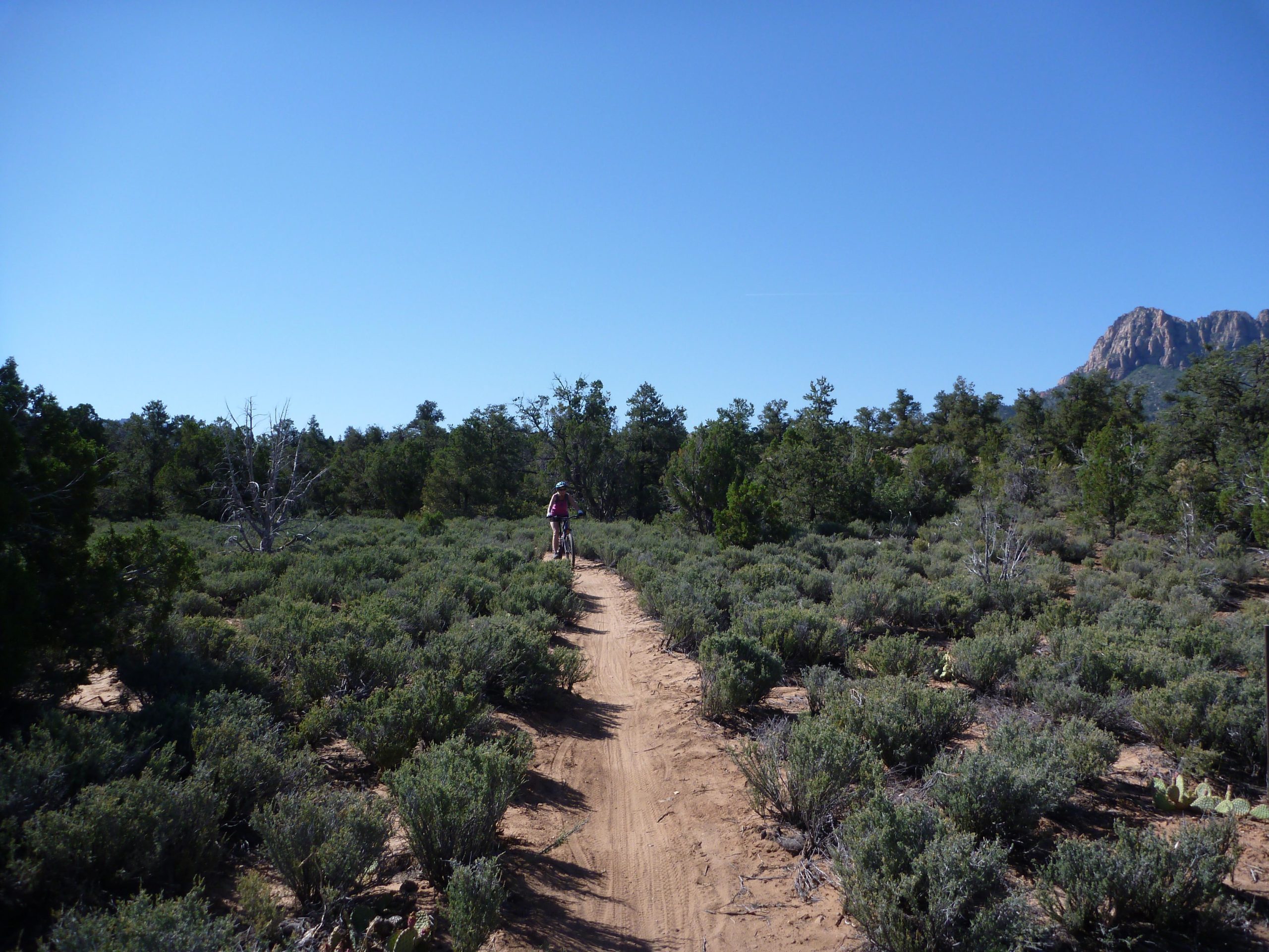 A cyclist riding along a dirt trail surrounded by lush green vegetation and sparse trees, with a clear blue sky overhead and mountains in the background. Wire Mesa Loop mountain bike trail.