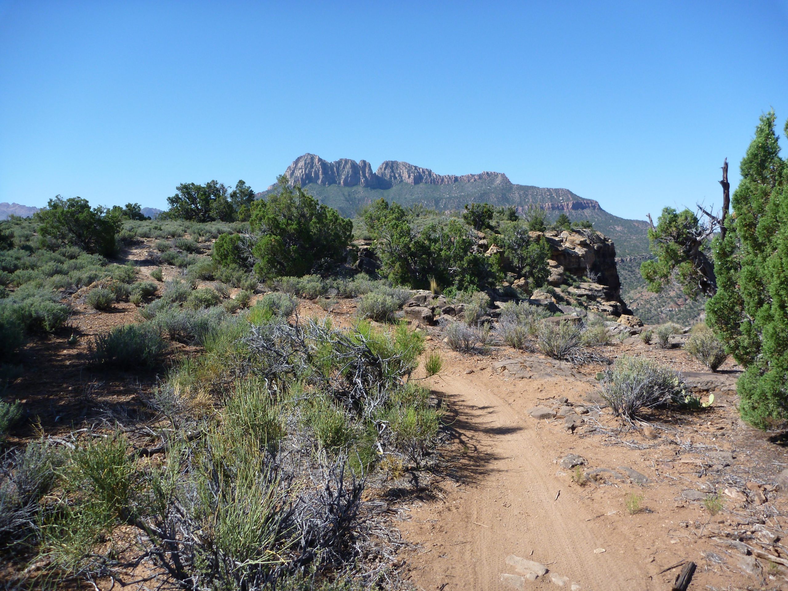 A dirt path meanders through a desert landscape featuring scattered shrubs and low vegetation, with a backdrop of rocky mountains under a clear blue sky. Wire Mesa Loop mountain bike trail.