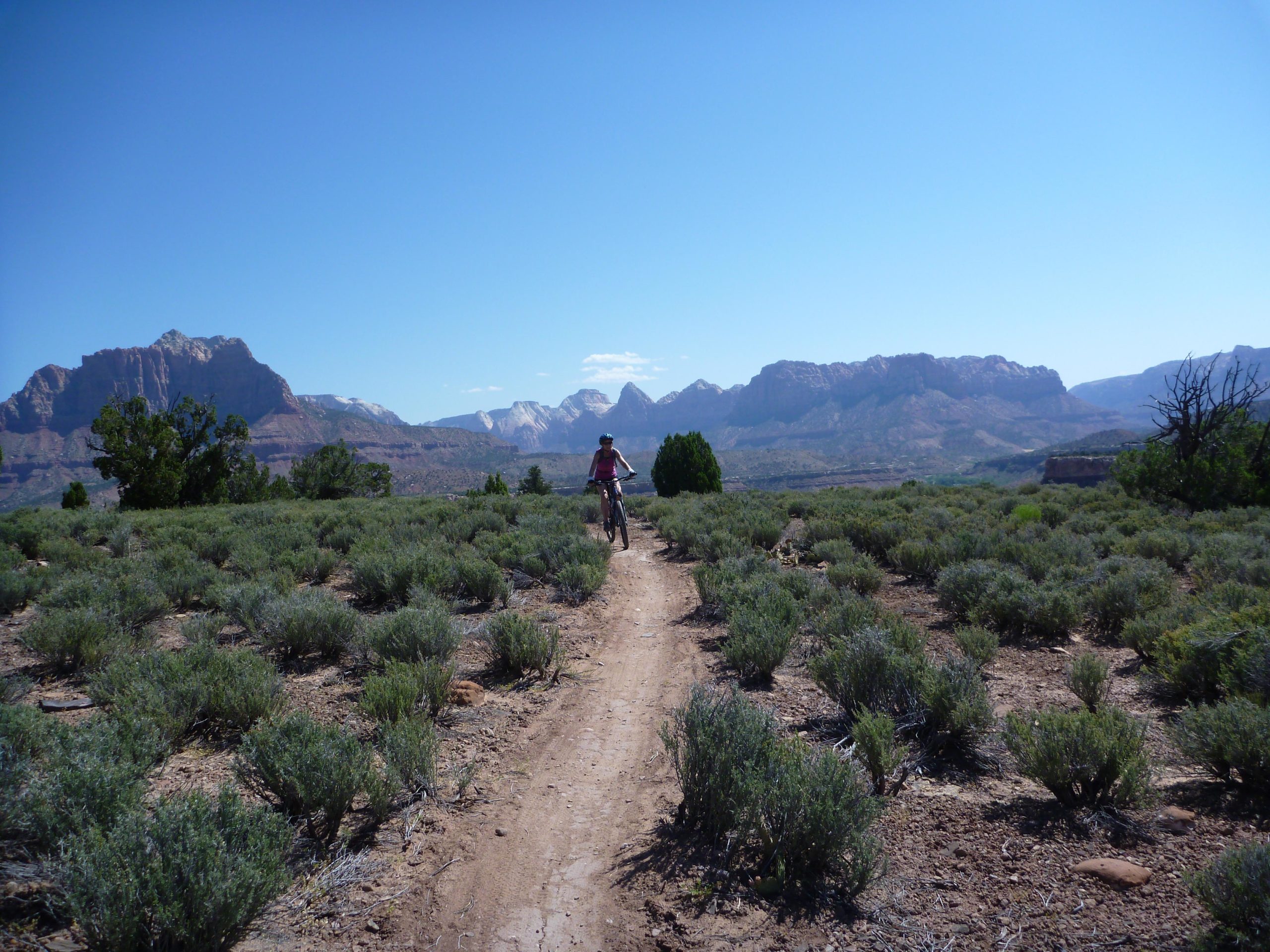 A person riding a bicycle along a dirt path in a desert landscape, with low shrubs and mountain formations in the background under a clear blue sky. Wire Mesa Loop mountain bike trail.