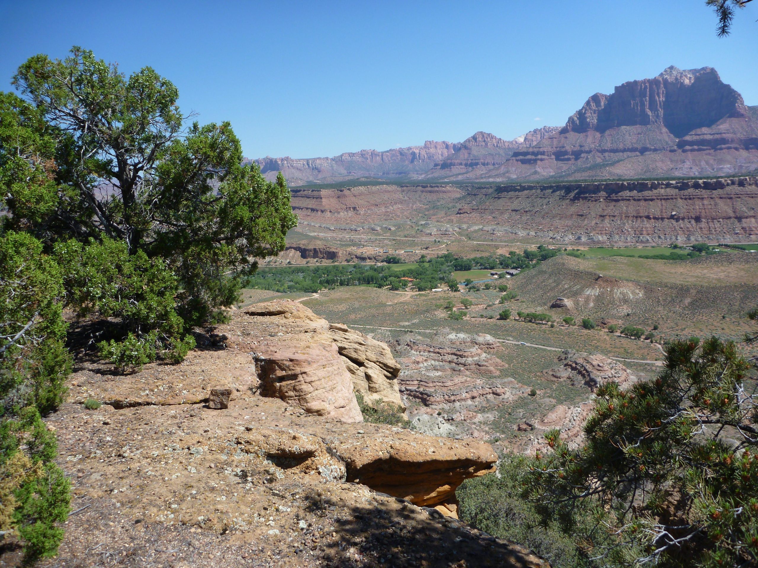 A panoramic view of a desert landscape featuring rocky cliffs and layered formations under a clear blue sky. In the foreground, a green shrub or tree adds contrast to the arid environment, while valleys and distant mountains create a sense of depth in the background. Wire Mesa Loop mountain bike trail.