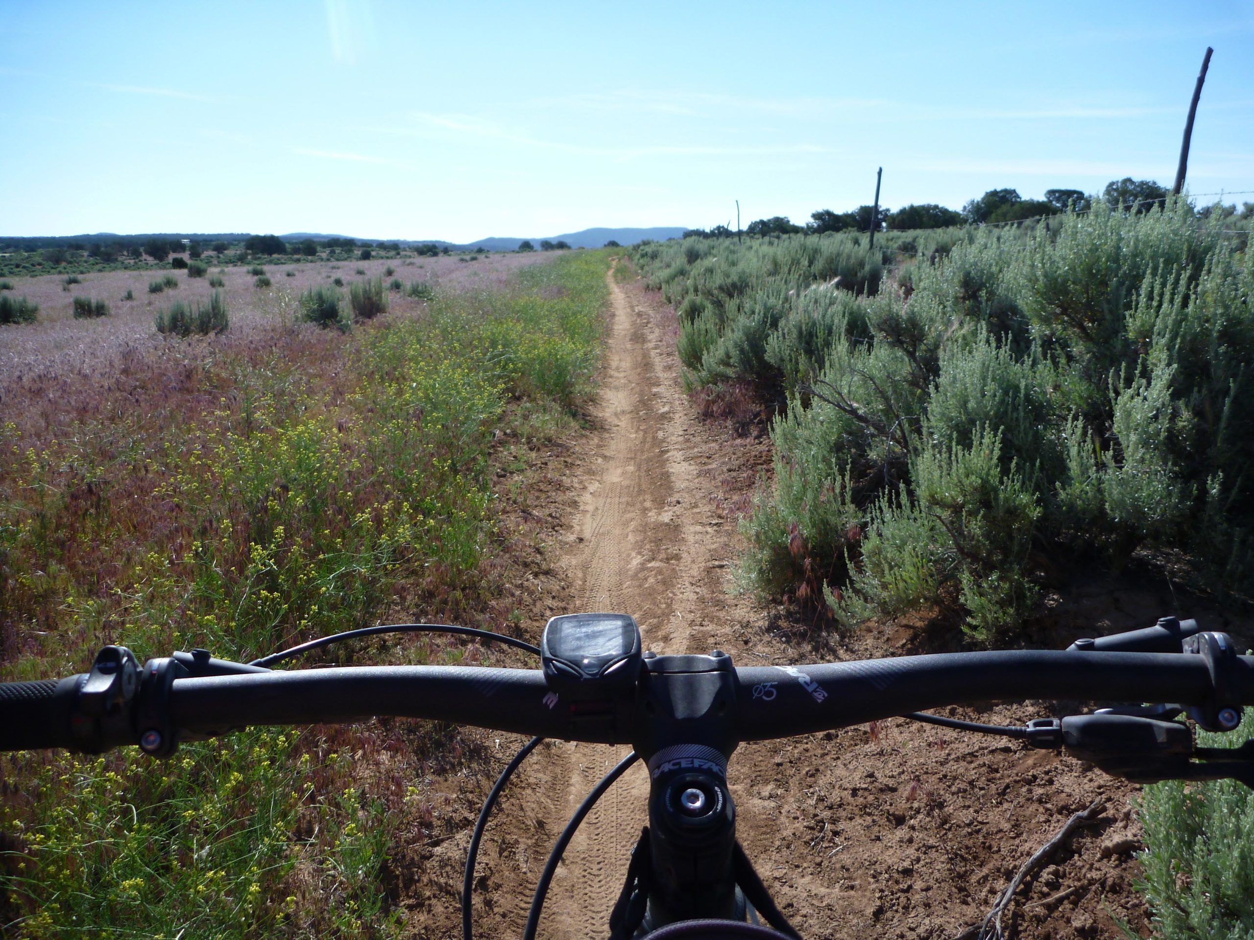 Image depicting the handlebars of a mountain bike facing a dirt trail that winds through a field of colorful wildflowers and shrubs under a clear blue sky. Alien Run Trail mountain bike trail.