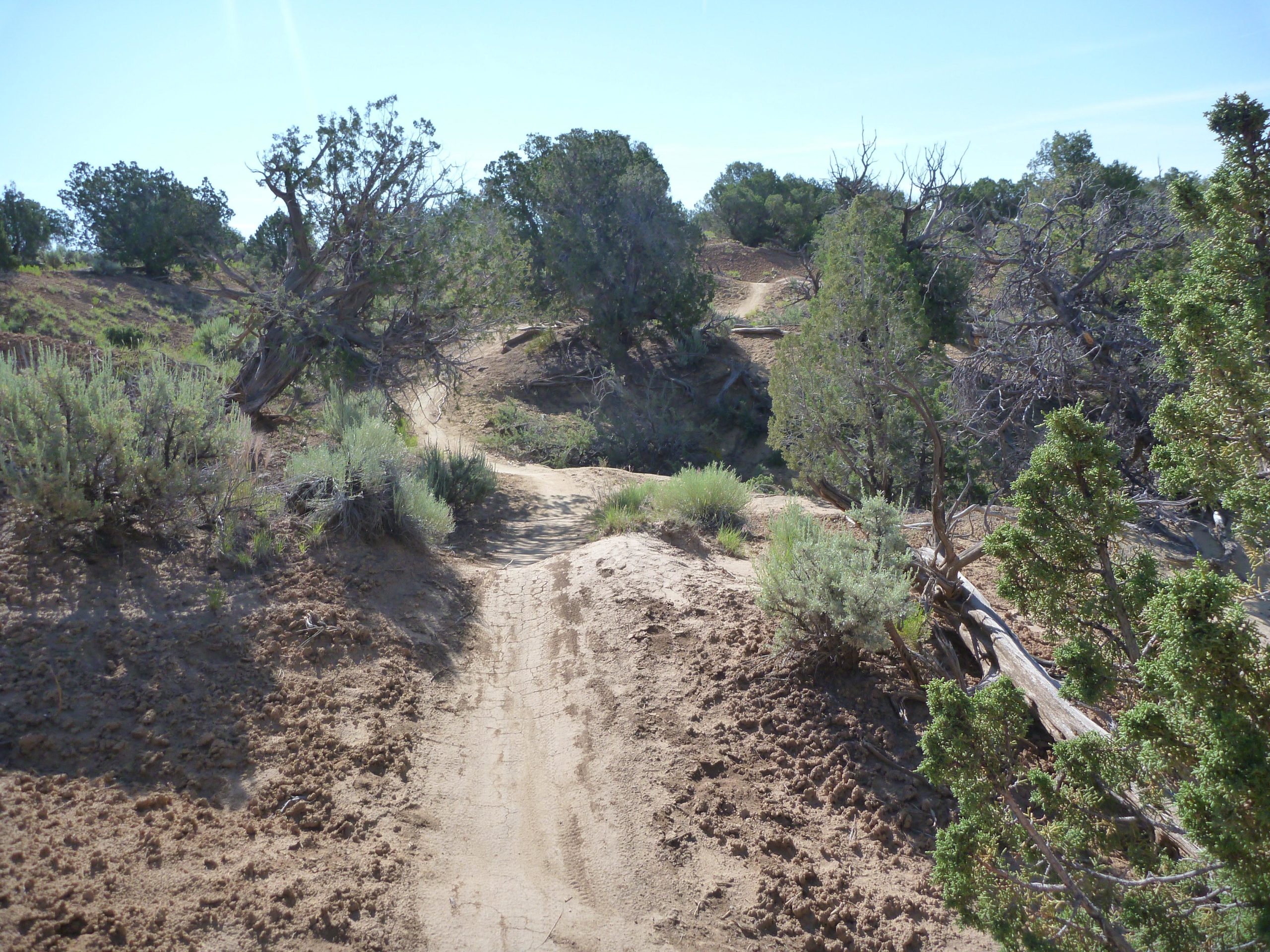 A dirt path through a natural landscape, surrounded by green shrubs and trees, with a clear blue sky above. The trail is slightly winding and leads through a rugged terrain, showcasing dry soil and scattered vegetation. Alien Run Trail mountain bike trail.