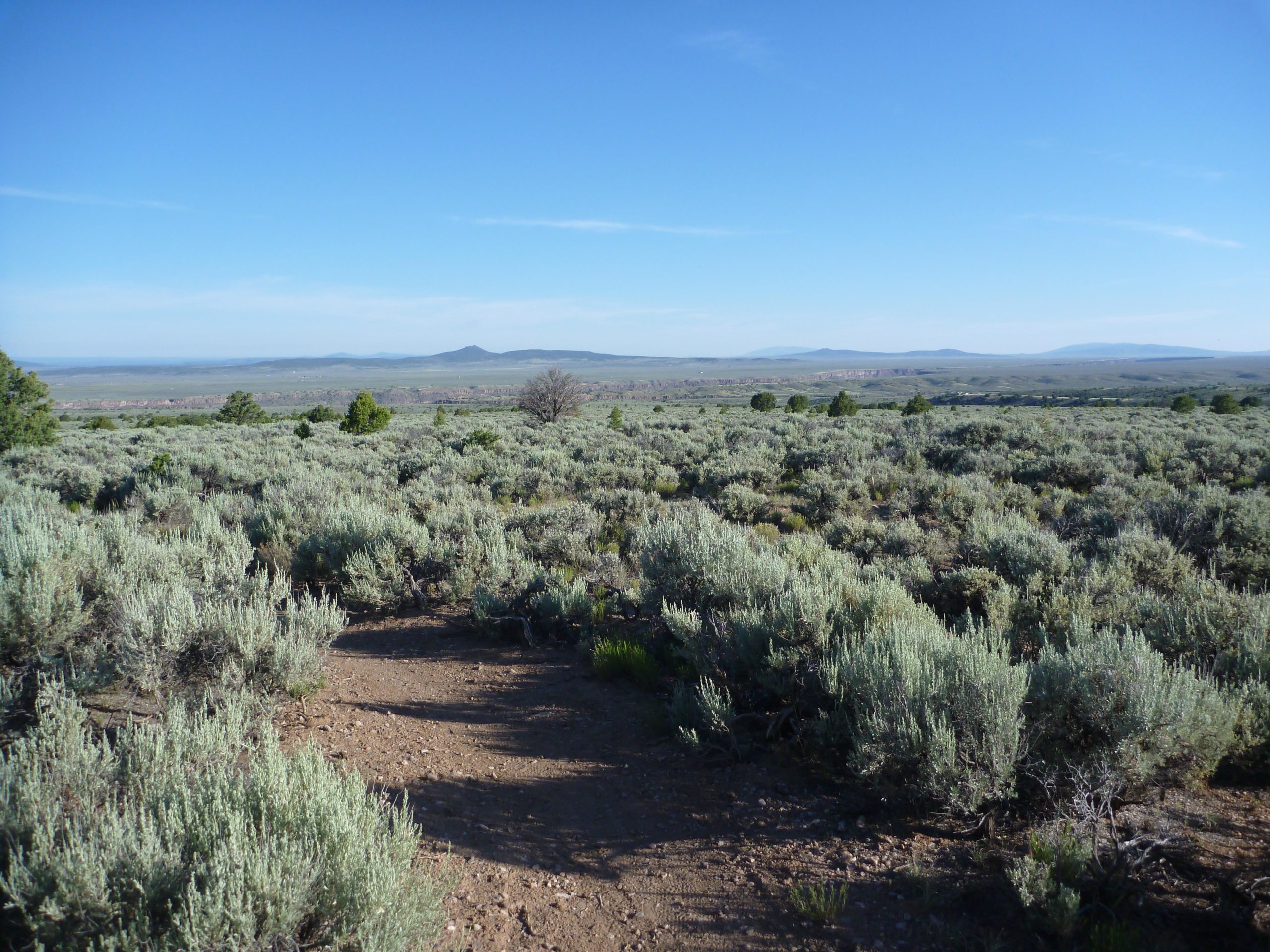 A vast landscape featuring rolling plains covered with low sagebrush, under a clear blue sky. In the distance, mountains are visible, creating a serene and open atmosphere. A dirt path winds through the foreground, inviting exploration in this natural setting. Taos Valley Overlook mountain bike trail.