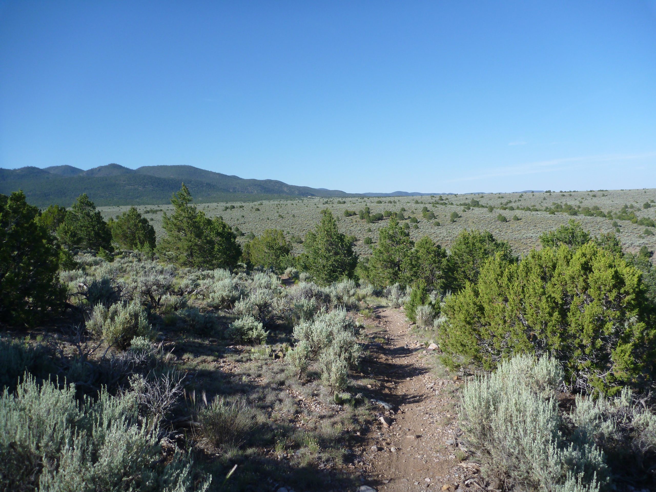 A scenic view of a dirt path winding through a landscape of sagebrush and small trees, with rolling hills and mountains in the background under a clear blue sky. Taos Valley Overlook mountain bike trail.
