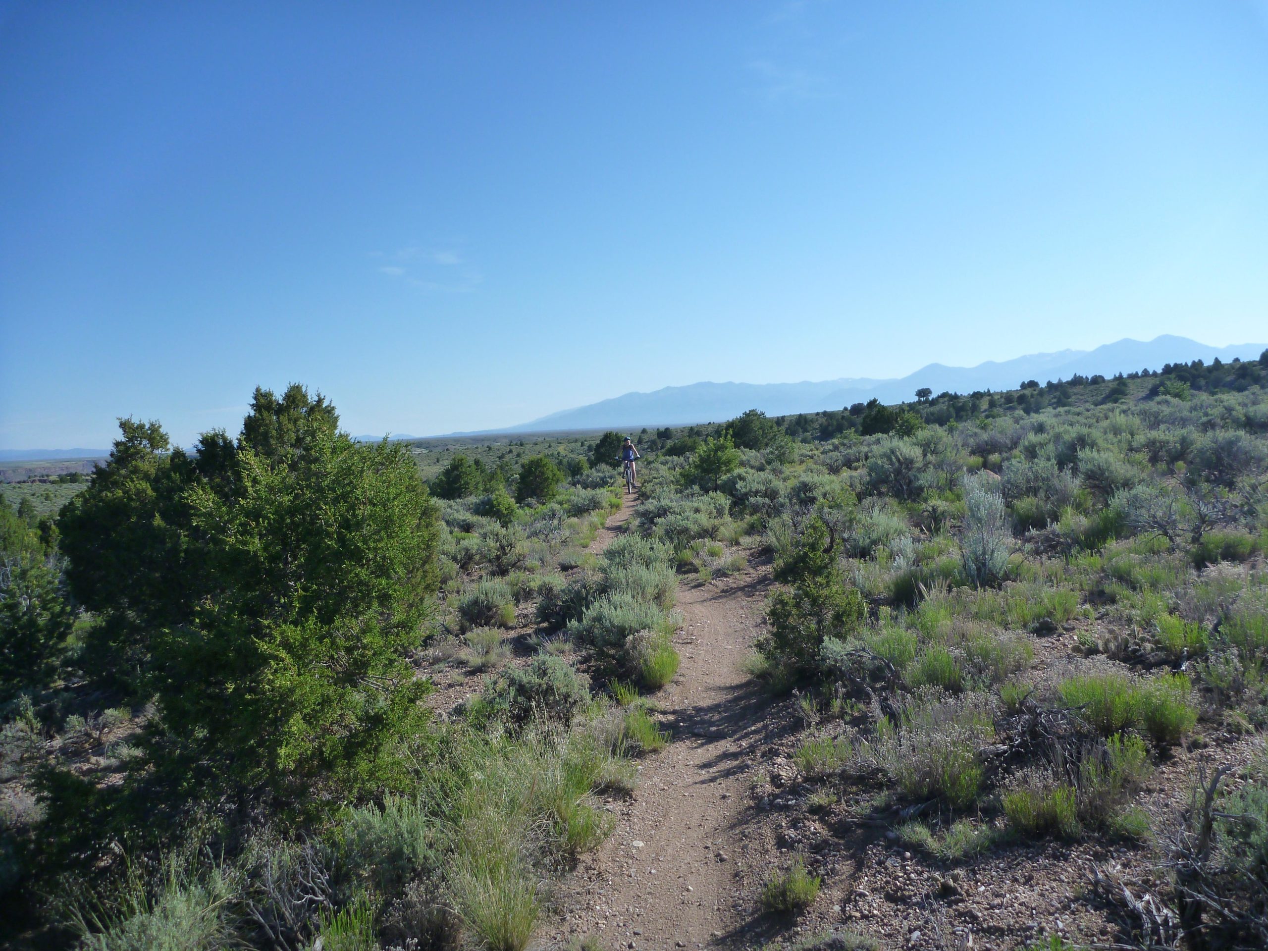 A winding dirt trail leads through a lush landscape of shrubs and greenery, with distant mountains visible under a clear blue sky. The scene captures a serene moment in nature, inviting exploration and adventure. Taos Valley Overlook mountain bike trail.