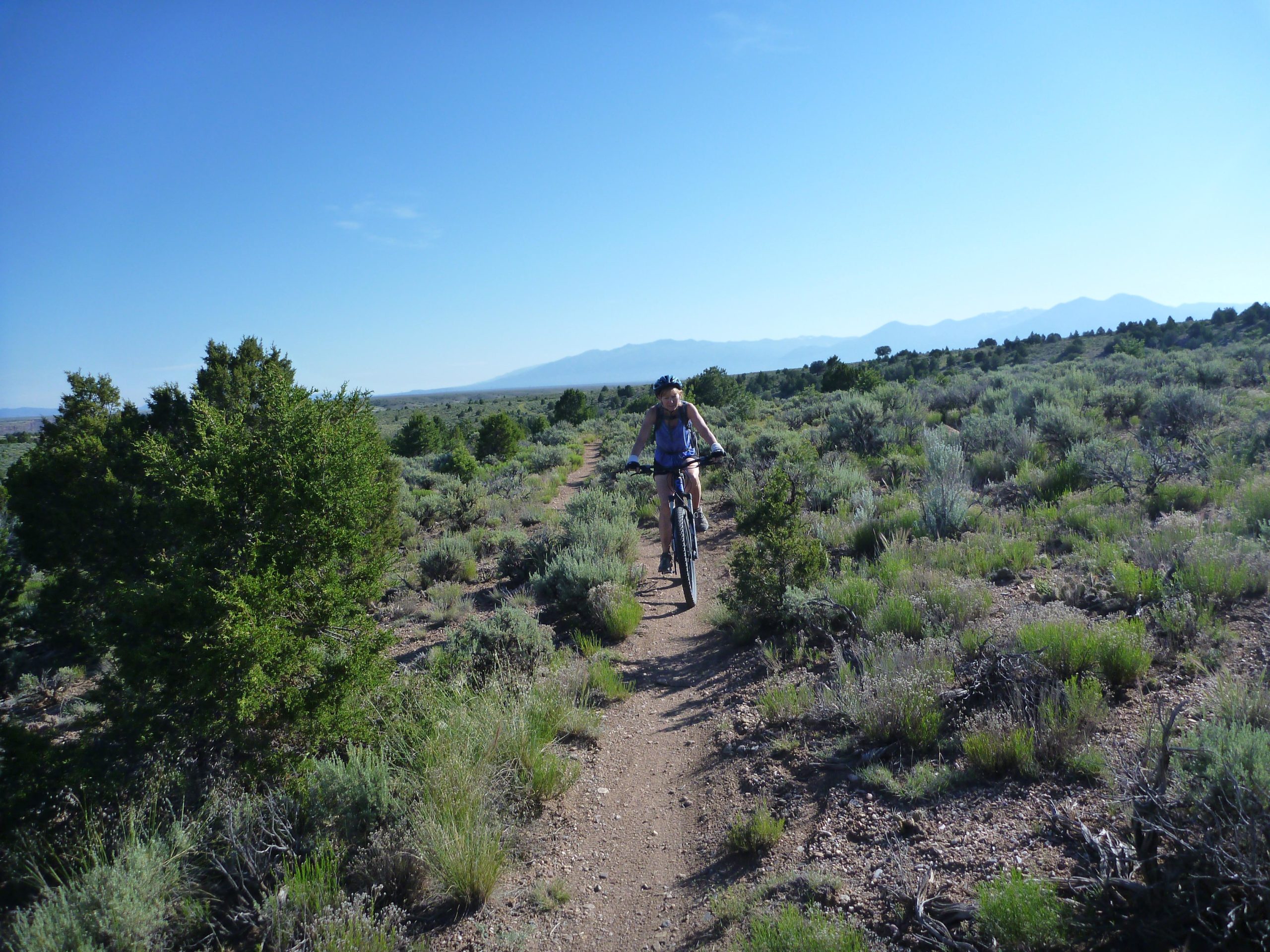 A person riding a mountain bike along a dirt trail in a wide-open landscape filled with shrubs and low vegetation, under a clear blue sky with distant mountains in the background. Taos Valley Overlook mountain bike trail.