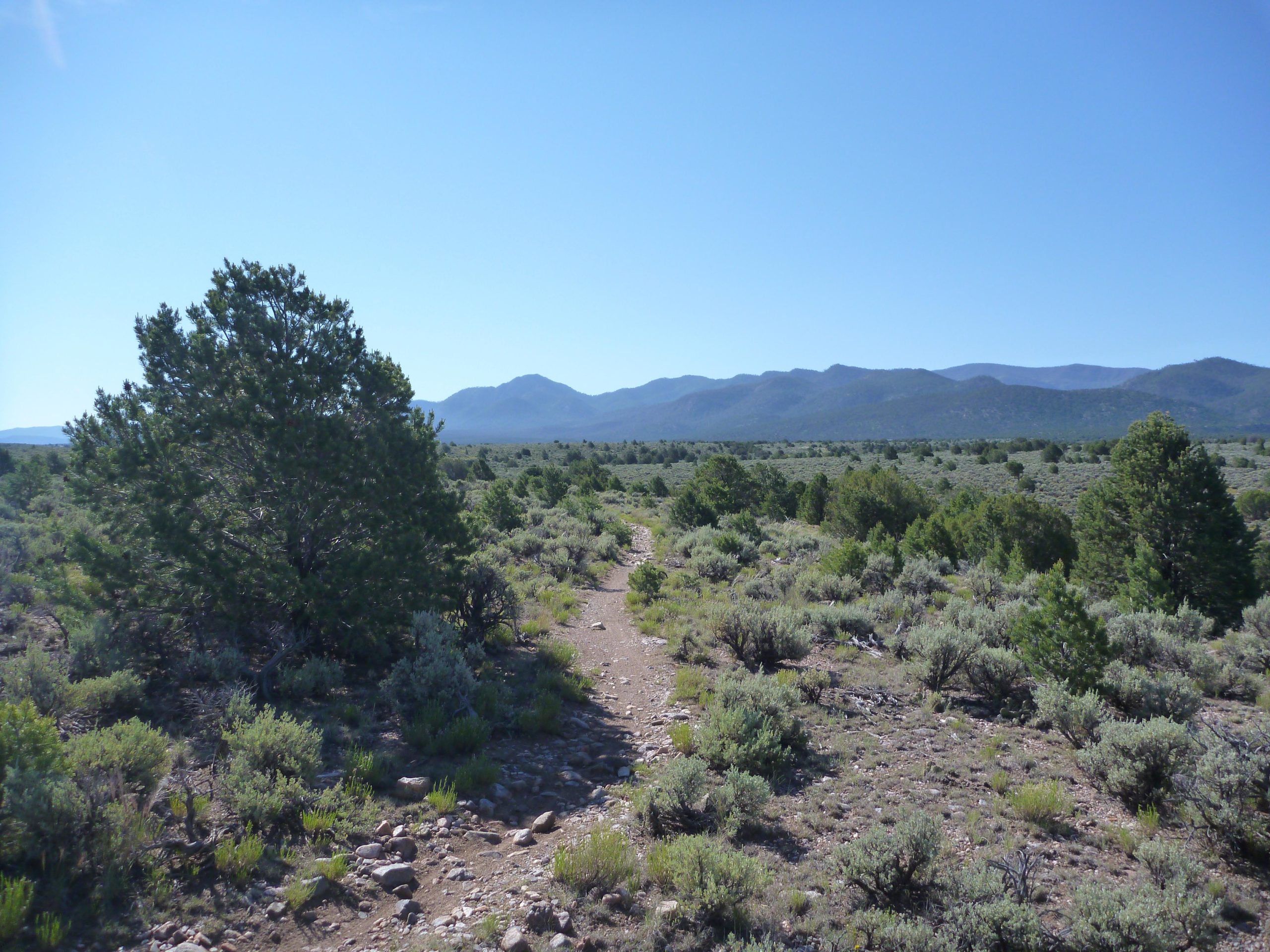 A wide view of a natural landscape featuring a dirt path winding through a field of shrubs and low greenery, with a few scattered trees. In the background, mountain ranges stretch across the horizon under a clear blue sky. Taos Valley Overlook mountain bike trail.