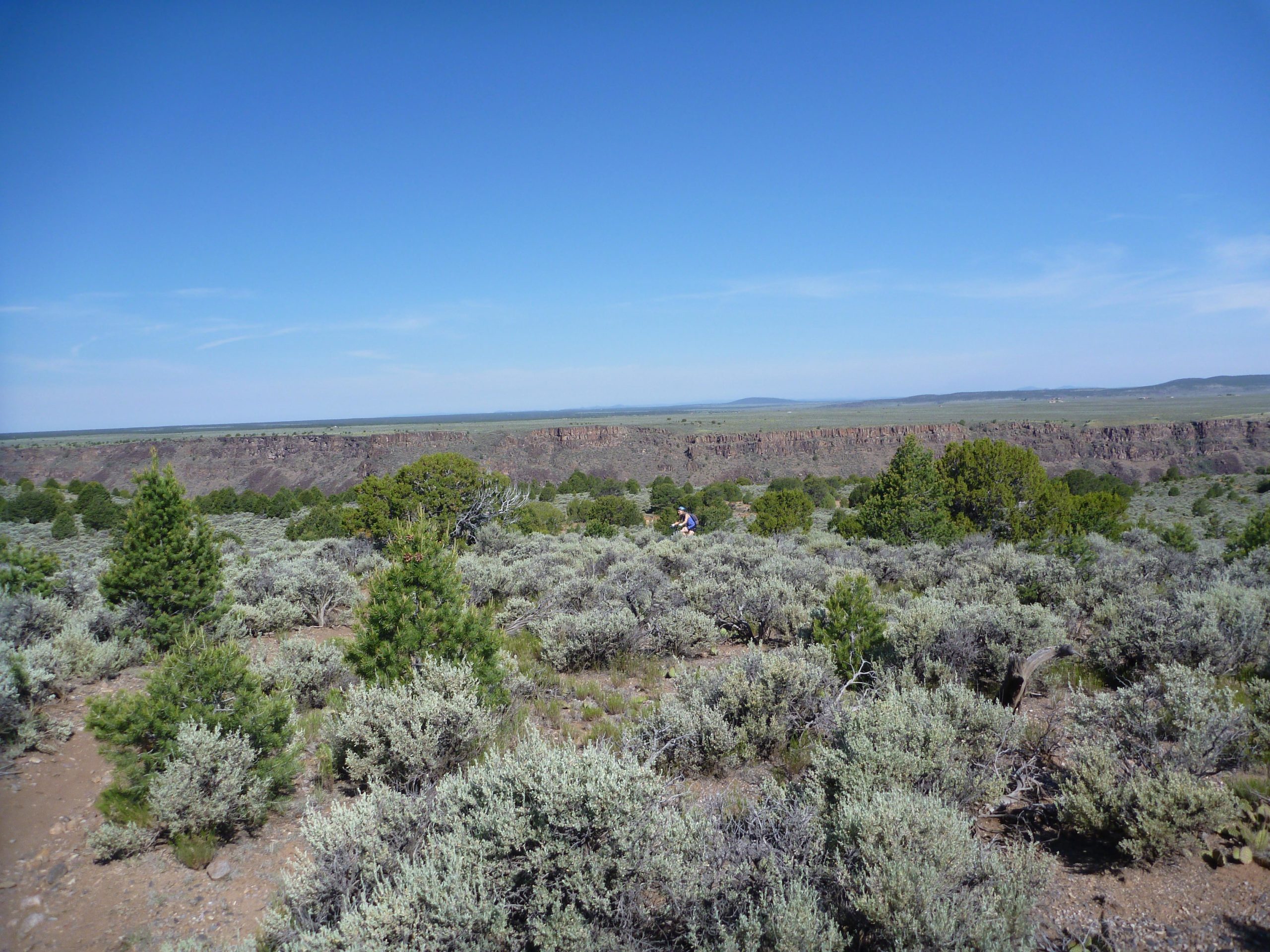 A panoramic view of a canyon landscape under a clear blue sky, featuring green shrubs and small trees in the foreground, with rocky cliffs in the distance. A distant figure is visible among the vegetation, highlighting the scale of the surroundings. Taos Valley Overlook mountain bike trail.