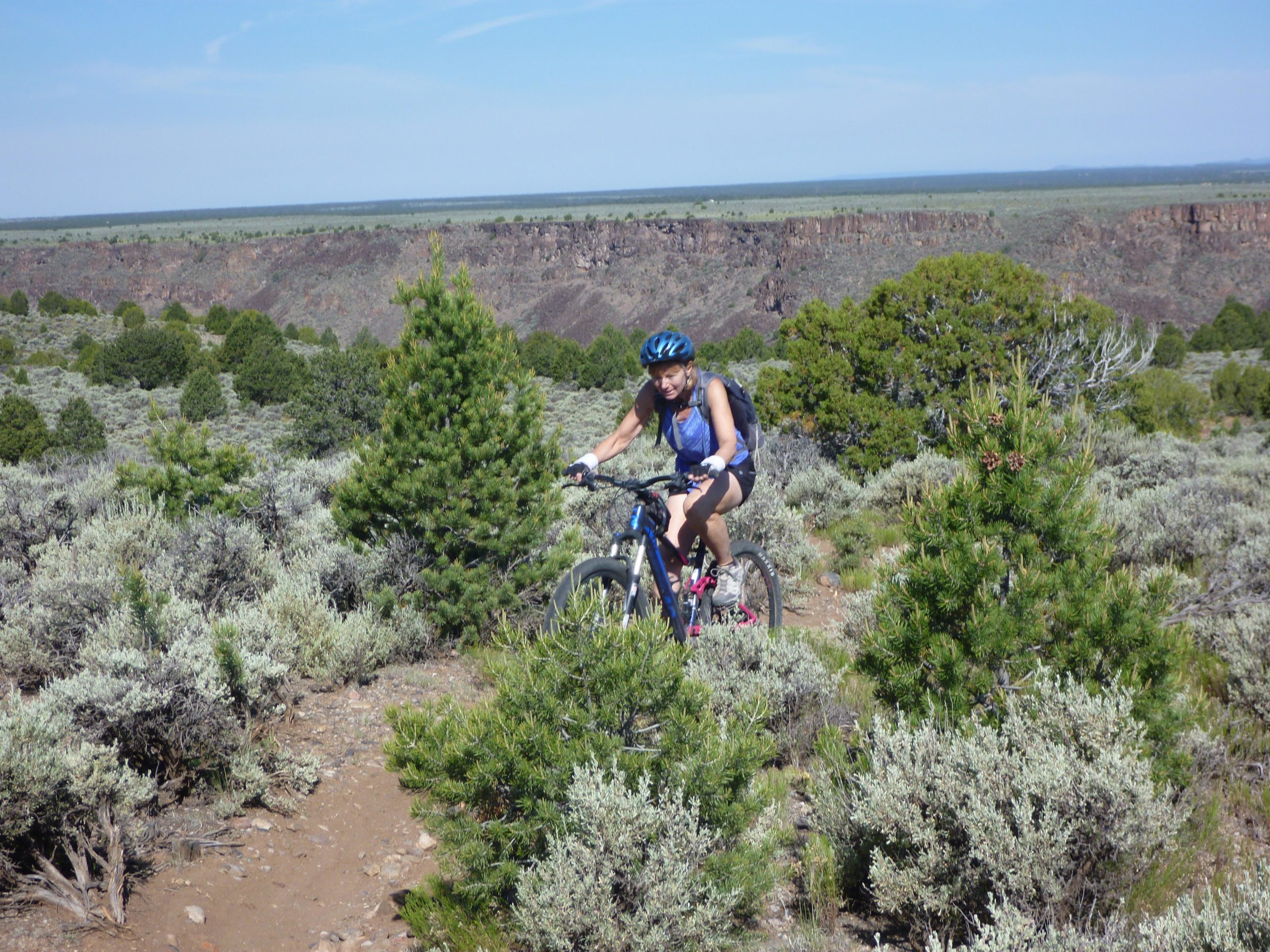 A cyclist riding a mountain bike along a dirt trail in a scenic landscape filled with shrubs and small trees, with a distant cliff and open sky in the background. Taos Valley Overlook mountain bike trail.
