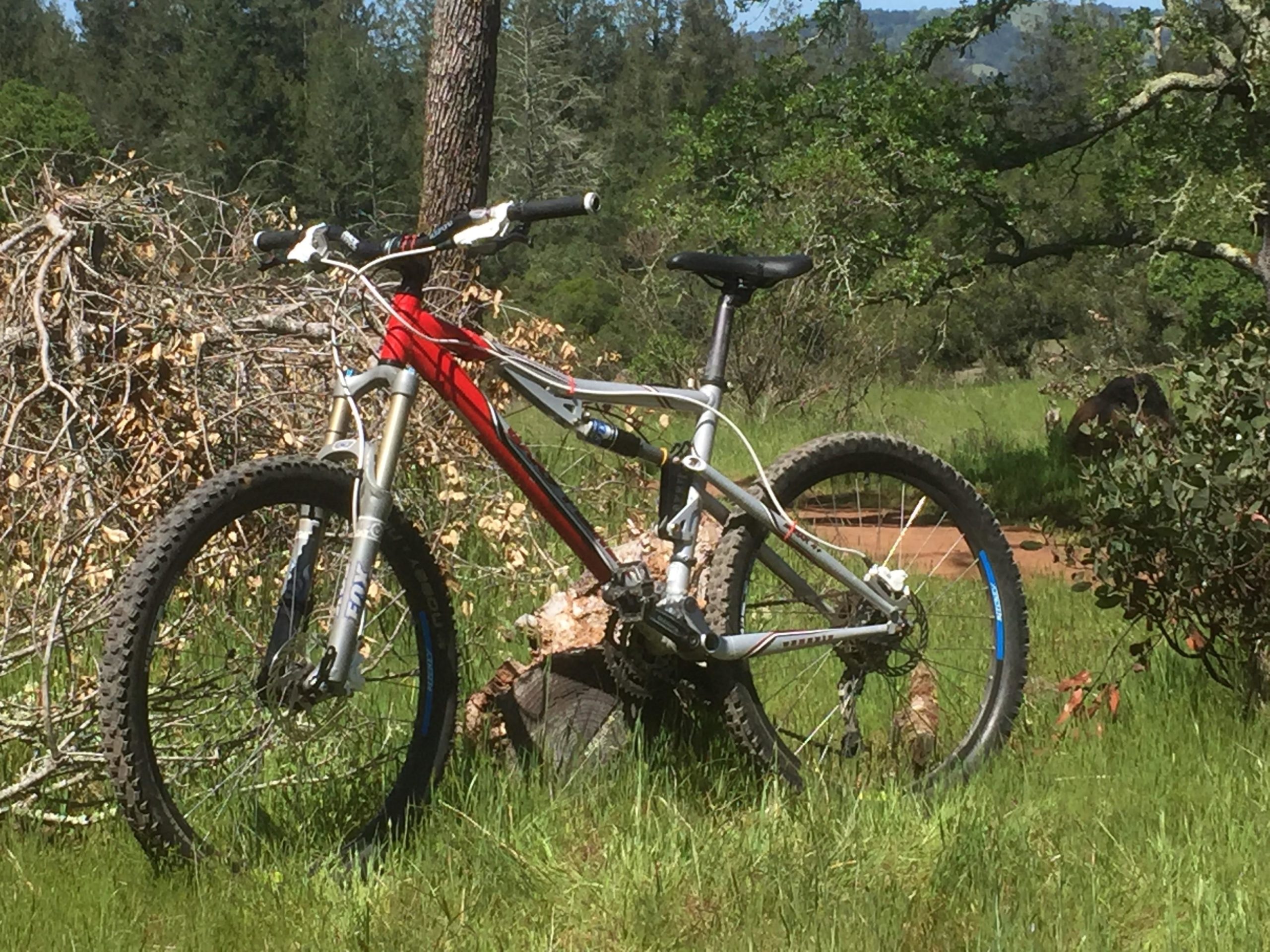 A mountain bike with a silver and red frame is leaning against a log in a grassy area surrounded by trees. The background features greenery and scattered branches, suggesting a natural outdoor setting. Annadel State Park mountain bike trail.