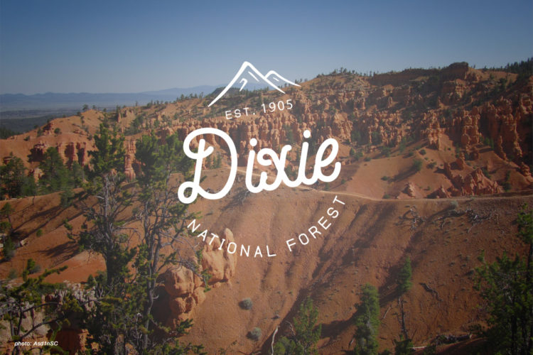Mountain Biking Dixie National Forest