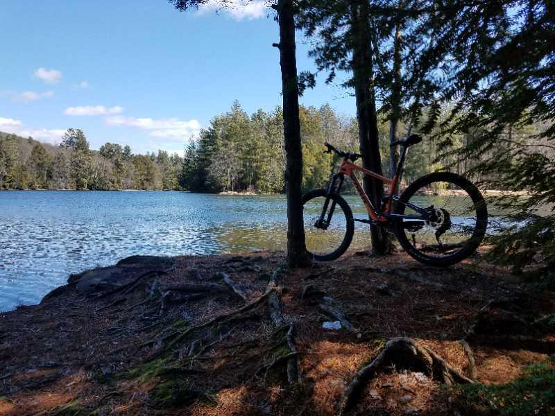 A mountain bike rests beside a tranquil lake, framed by tall trees and a scenic landscape. The water reflects the blue sky and surrounding greenery, creating a peaceful outdoor setting. Lithia Springs mountain bike trail.
