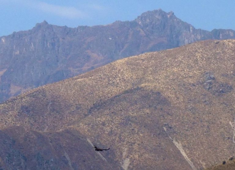 Peru Mountain Biking Part 1: An 11,200' Descent Outside Lima ...