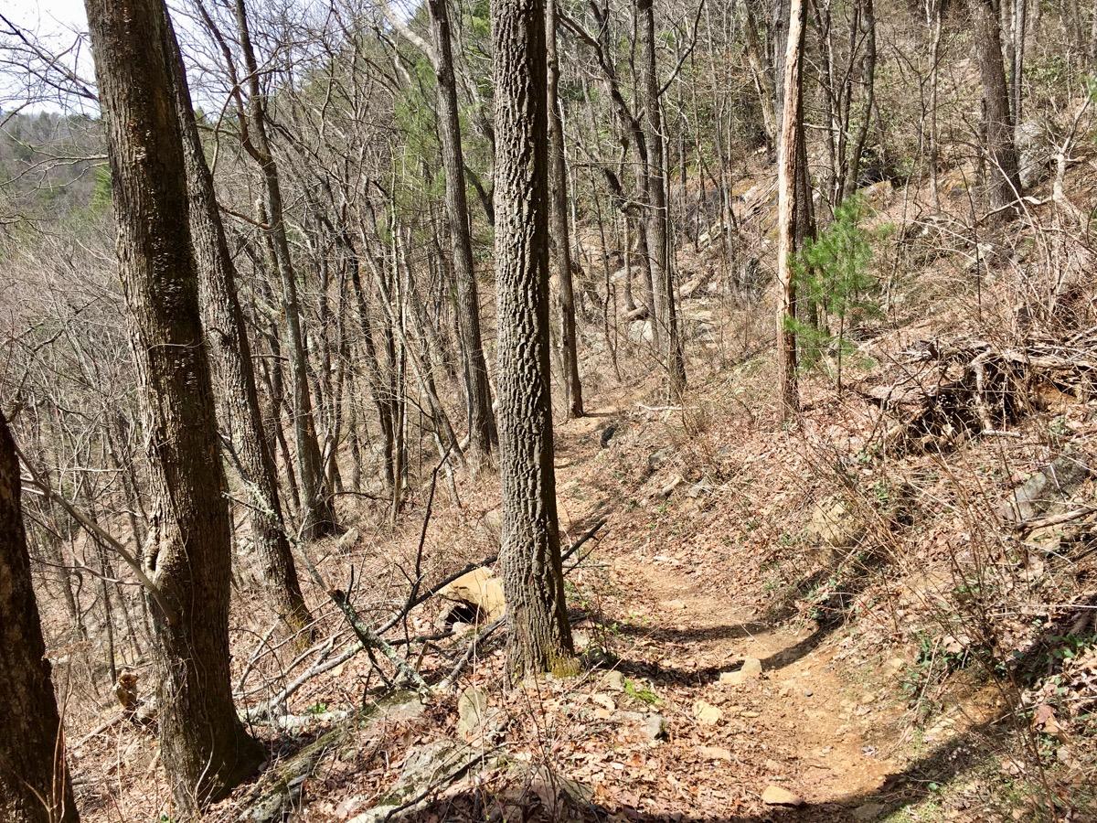 A narrow, winding dirt trail meanders through a densely wooded area, featuring tall, bare trees and scattered rocks. The forest floor is covered with dry leaves and small plants, indicating early spring conditions. Sunlight filters through the branches, casting gentle shadows along the path. Windy Gap Trail mountain bike trail.