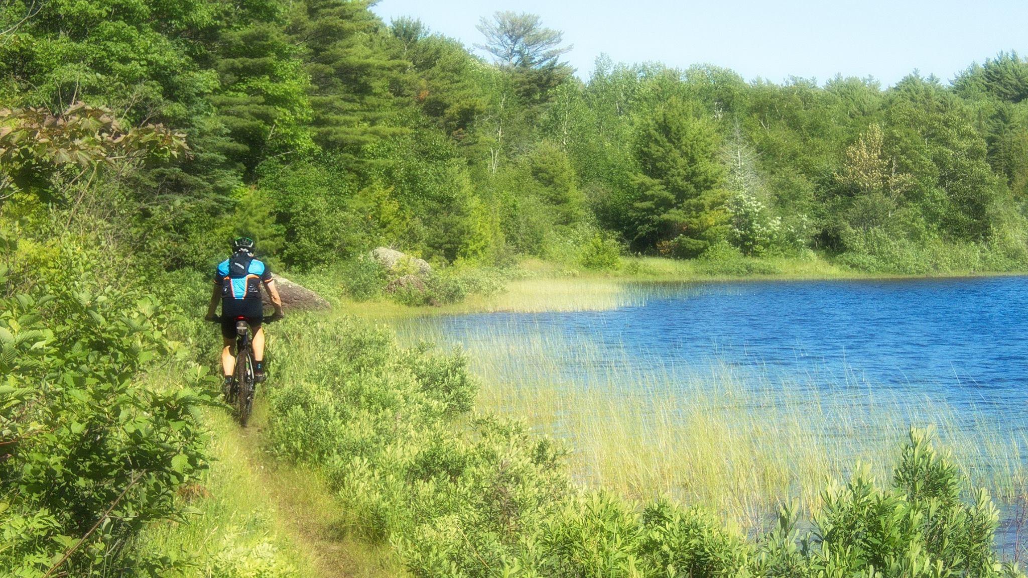 A person riding a mountain bike along a scenic trail beside a calm blue lake, surrounded by lush greenery and tall grasses. The sun shines brightly in a clear sky, highlighting the vibrant colors of nature. Copper Harbor Trails mountain bike trail.