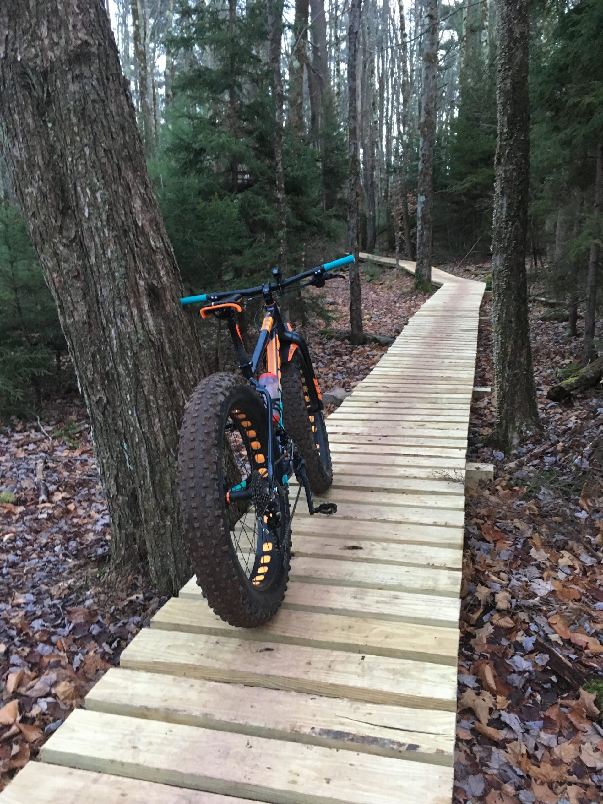 A mountain bike with wide tires rests on a wooden pathway in a forested area. The path winds through tall trees and is surrounded by fallen leaves and greenery, suggesting a tranquil outdoor setting for biking or hiking. Elm Ridge mountain bike trail.