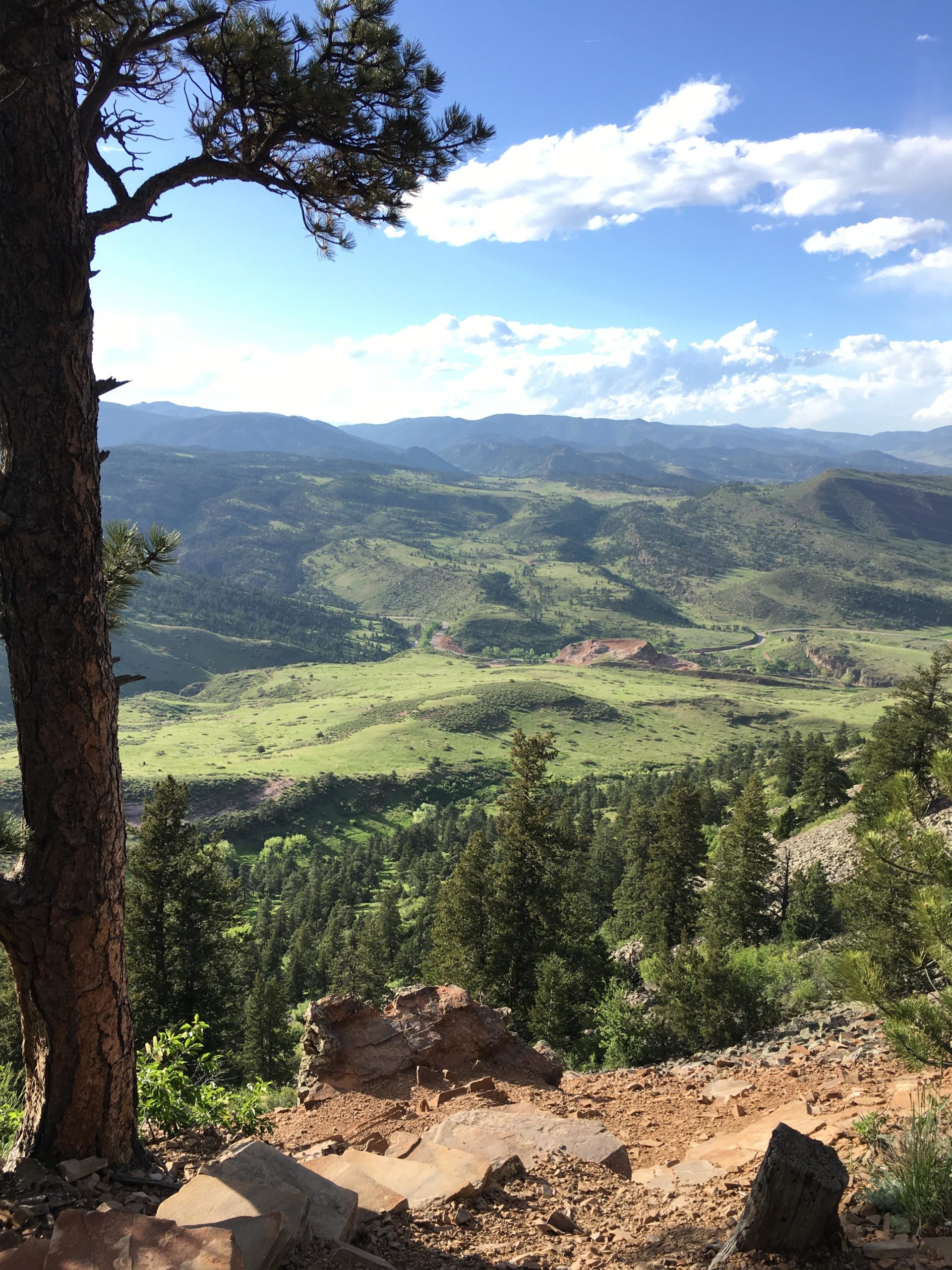 A scenic view of mountainous landscape featuring lush green valleys and trees, with a partially cloudy blue sky overhead. A sturdy tree is visible in the foreground, alongside a rocky path leading down the slope. Heil Valley Ranch mountain bike trail.