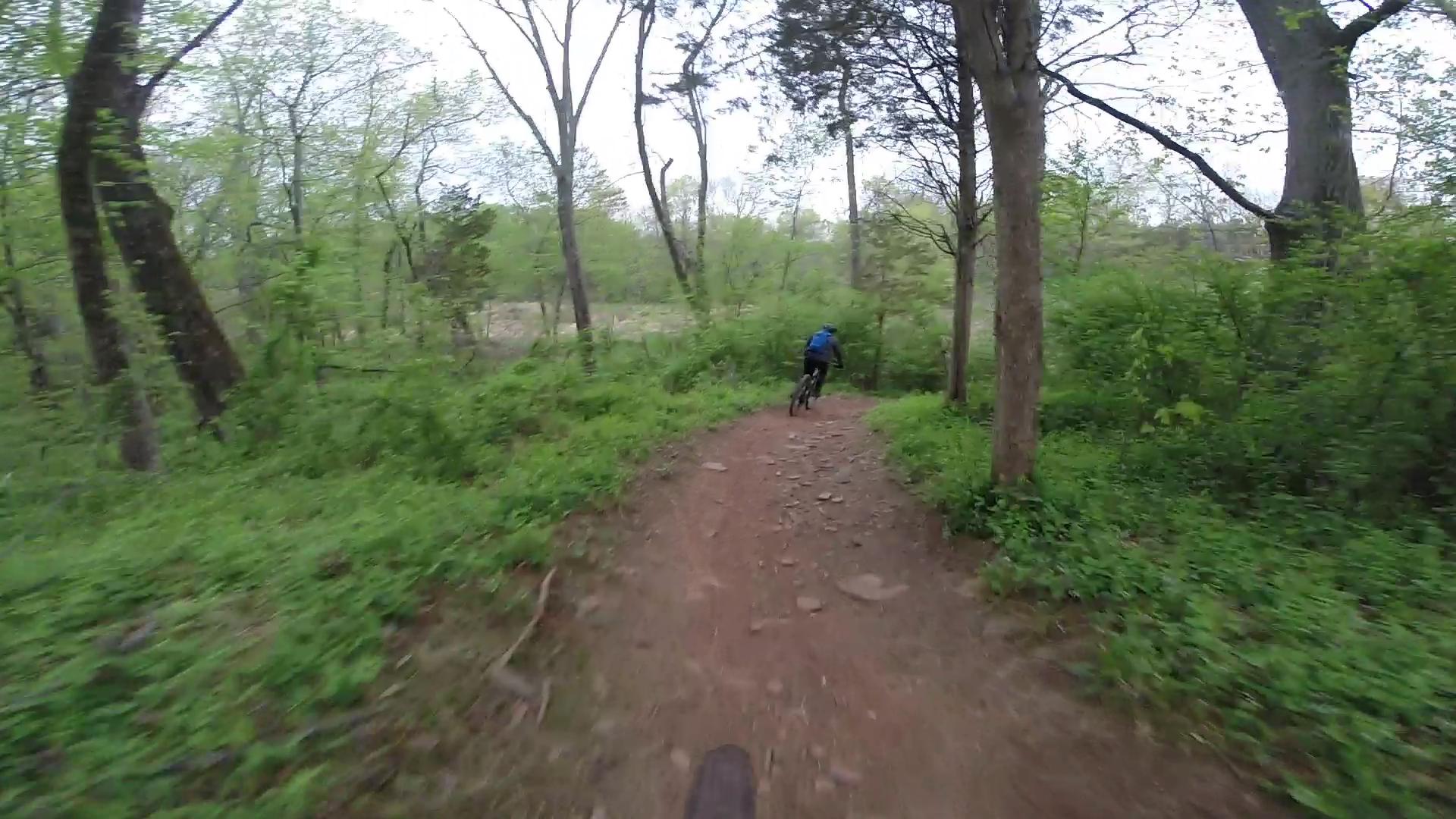 A cyclist in a blue jacket rides along a dirt trail through a lush green forest, surrounded by trees and vegetation, on a cloudy day. Six Mile Run mountain bike trail.