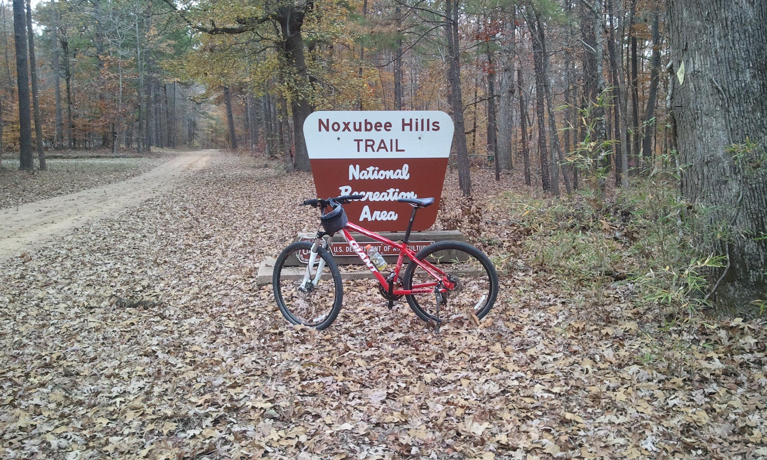 A red and white mountain bike is parked next to a trail sign that reads "Noxubee Hills Trail" in a forested area with autumn foliage on the ground. Noxubee Crest mountain bike trail.