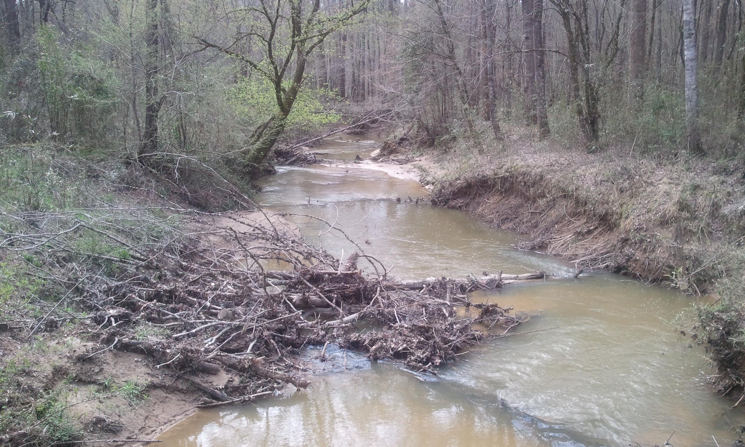 A calm, winding creek surrounded by trees and vegetation, with fallen branches and debris along the banks. The water appears slightly murky, reflecting the overcast sky. Lush green leaves are starting to emerge from the trees, indicating early spring. Noxubee Crest mountain bike trail.