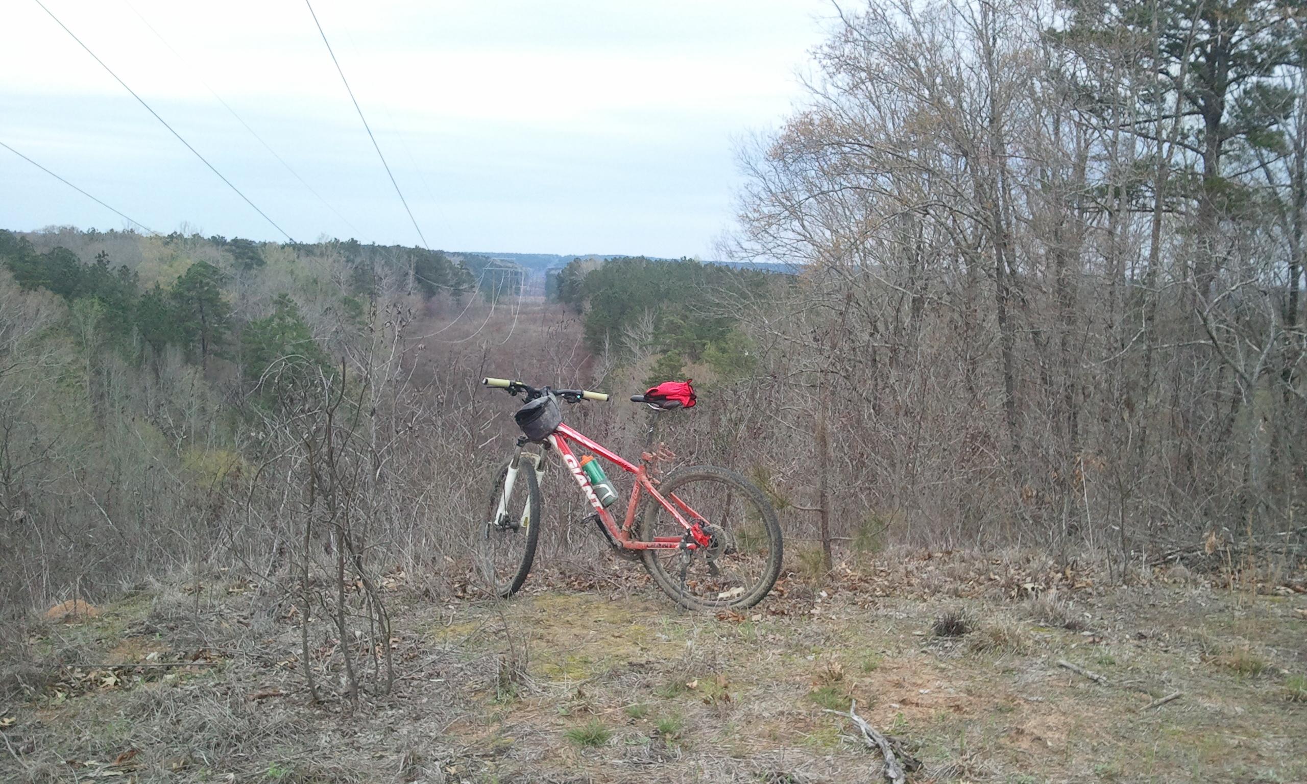 A mountain bike rests on a grassy incline, surrounded by trees and a view of a distant landscape. The bike is red and features a water bottle and a small bag attached to the frame. Power lines stretch across the horizon under a cloudy sky. Noxubee Crest mountain bike trail.