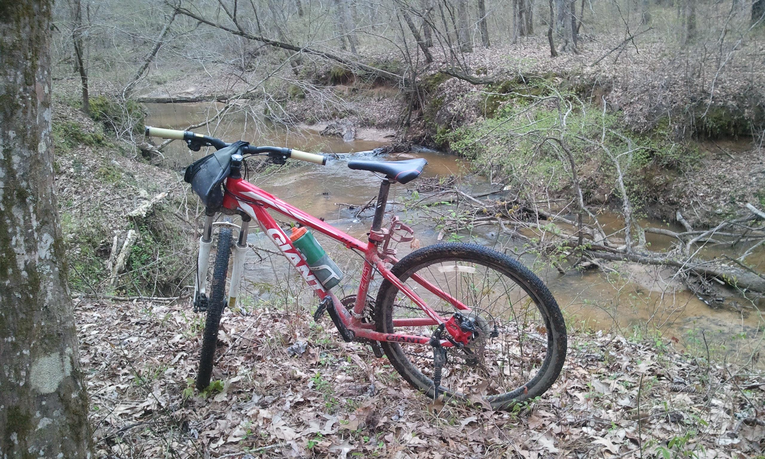 A red mountain bike leaning against a tree near a creek in a wooded area. The ground is covered with brown leaves, and visible greenery indicates the arrival of spring. The bike has a water bottle attached, and the surrounding landscape features bare trees and a gently flowing stream in the background. Noxubee Crest mountain bike trail.