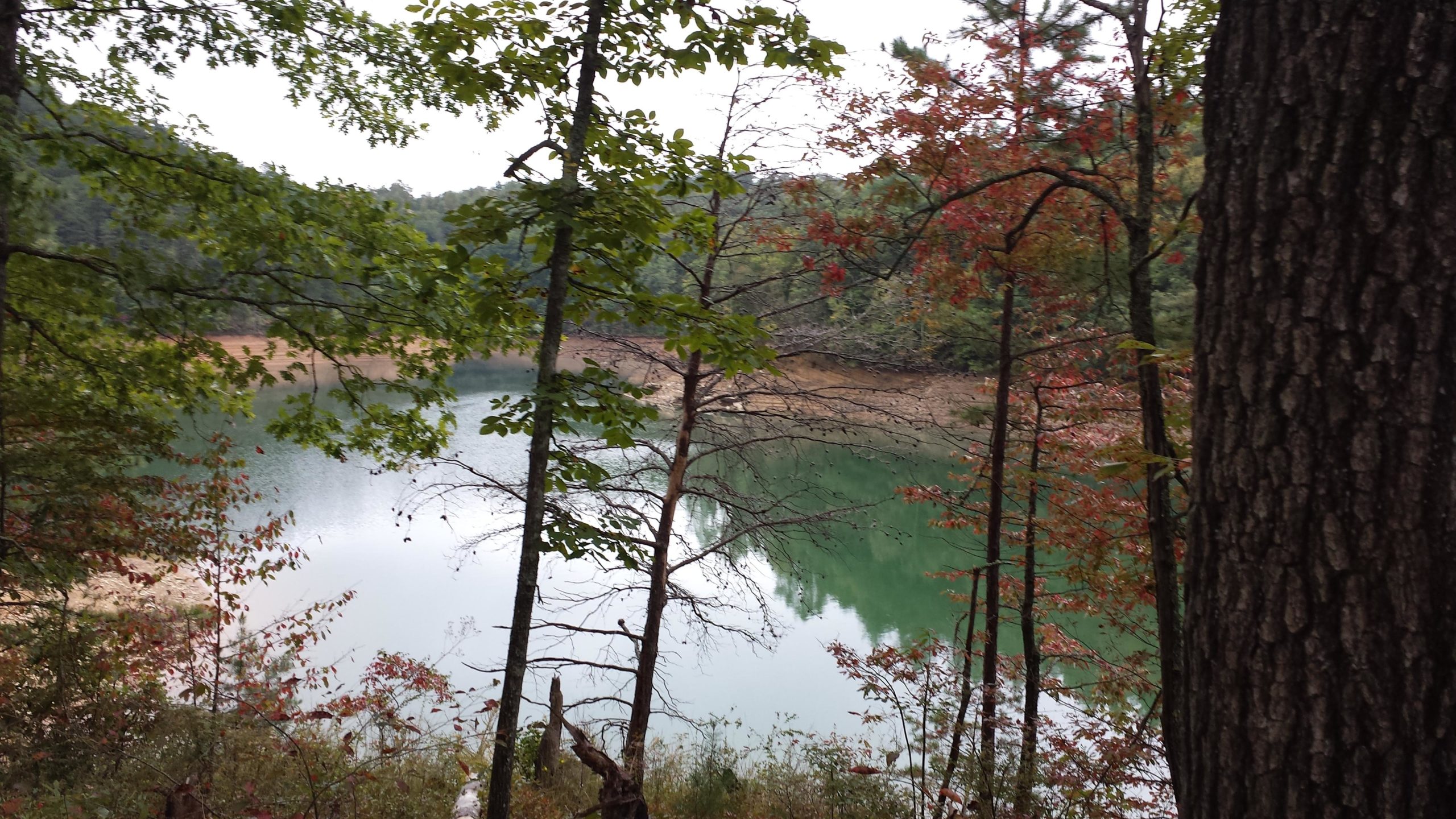 A serene view of a lake surrounded by trees, with hints of autumn foliage on the branches. The calm water reflects the surrounding greenery, creating a peaceful natural setting. Tsali Recreation Area mountain bike trail.