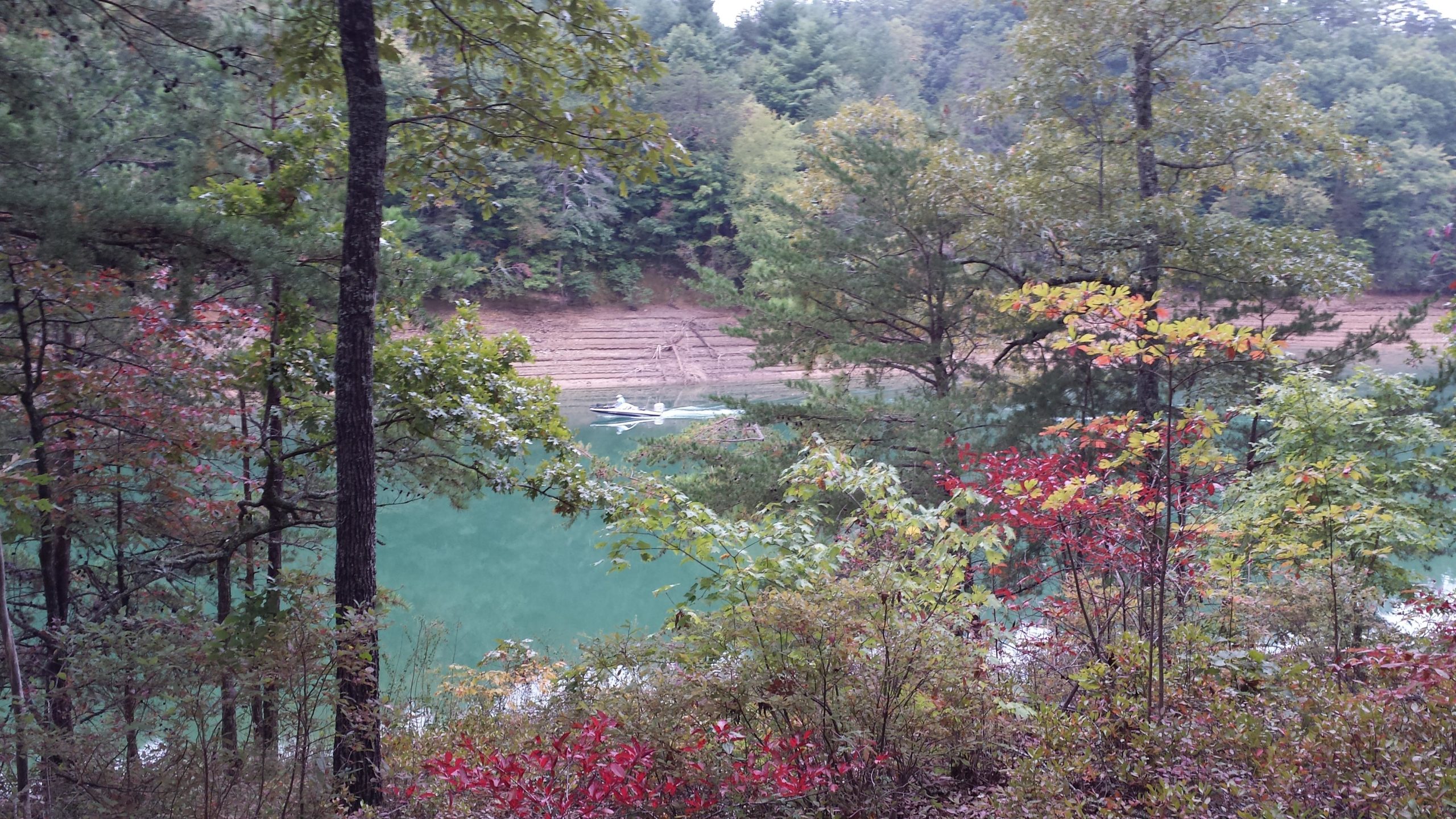 A serene view of a calm lake surrounded by lush greenery and trees, with hints of autumn colors on the foliage. A small boat is visible on the water, reflecting the vibrant greenery around. The shoreline exhibits layered textures of earth and vegetation, creating a tranquil natural scene. Tsali Recreation Area mountain bike trail.