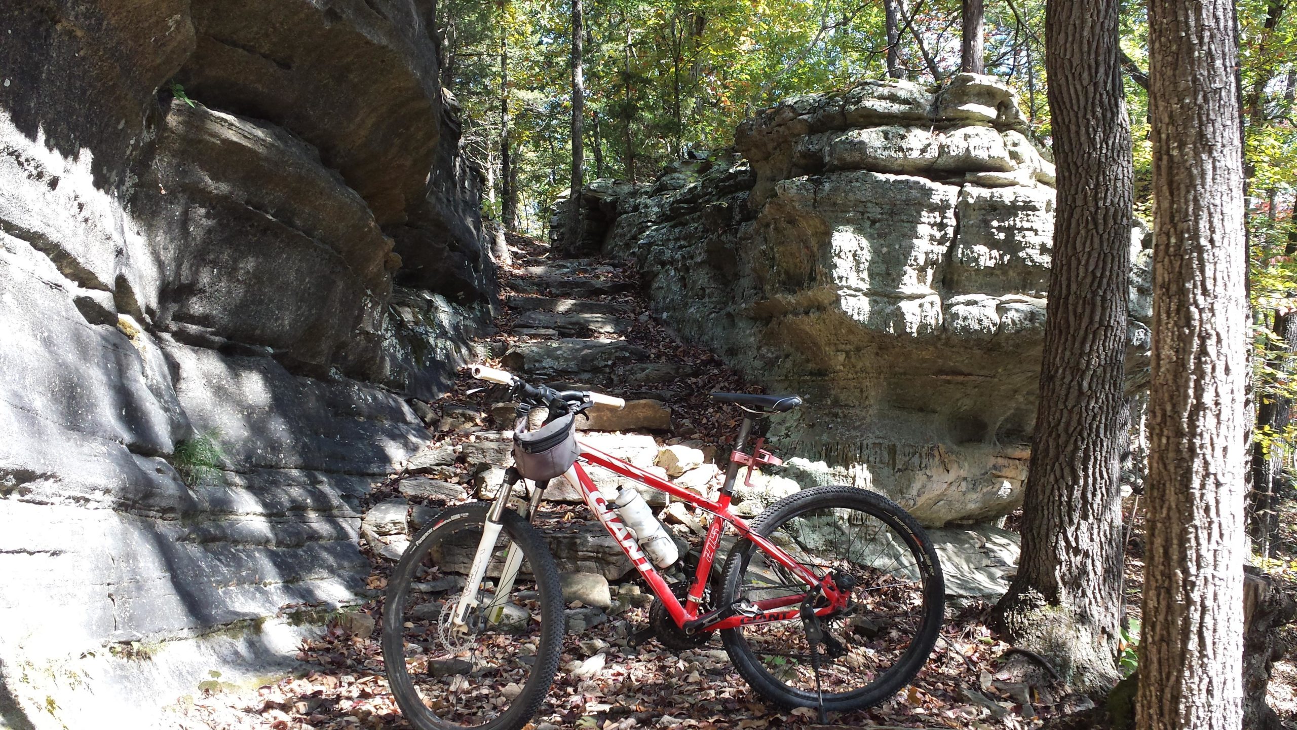 A red mountain bike leans against a rocky outcrop on a narrow trail surrounded by trees. Fallen leaves cover the ground, and sunlight filters through the forest canopy, highlighting the rugged terrain and the bike's features. Syllamo Trails mountain bike trail.
