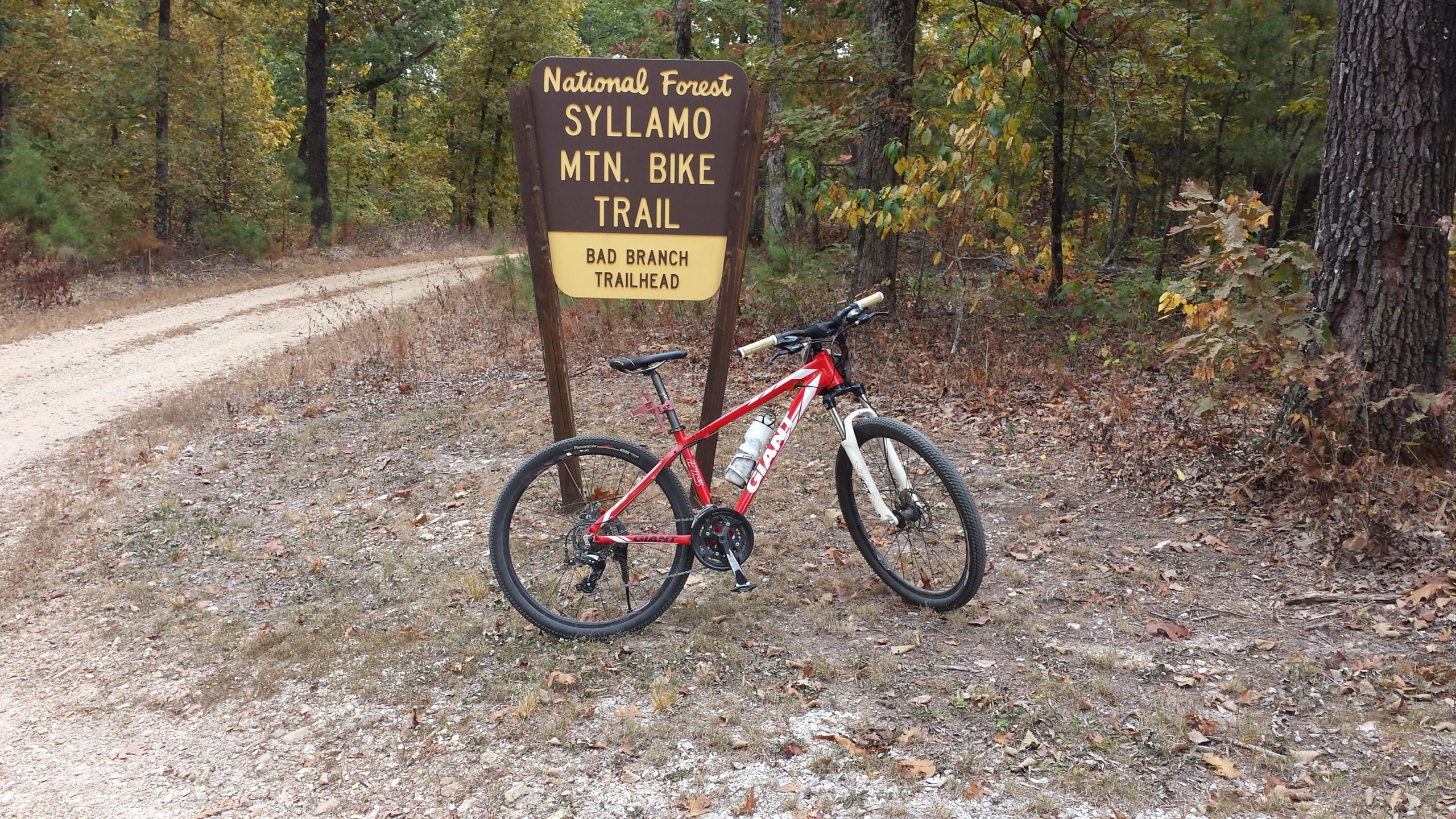 A red mountain bike parked next to a sign for Syllamo Mountain Bike Trail at the Bad Branch trailhead, surrounded by autumn foliage in a national forest. The dirt path leads into the woods, with trees and fallen leaves all around. Syllamo Trails mountain bike trail.