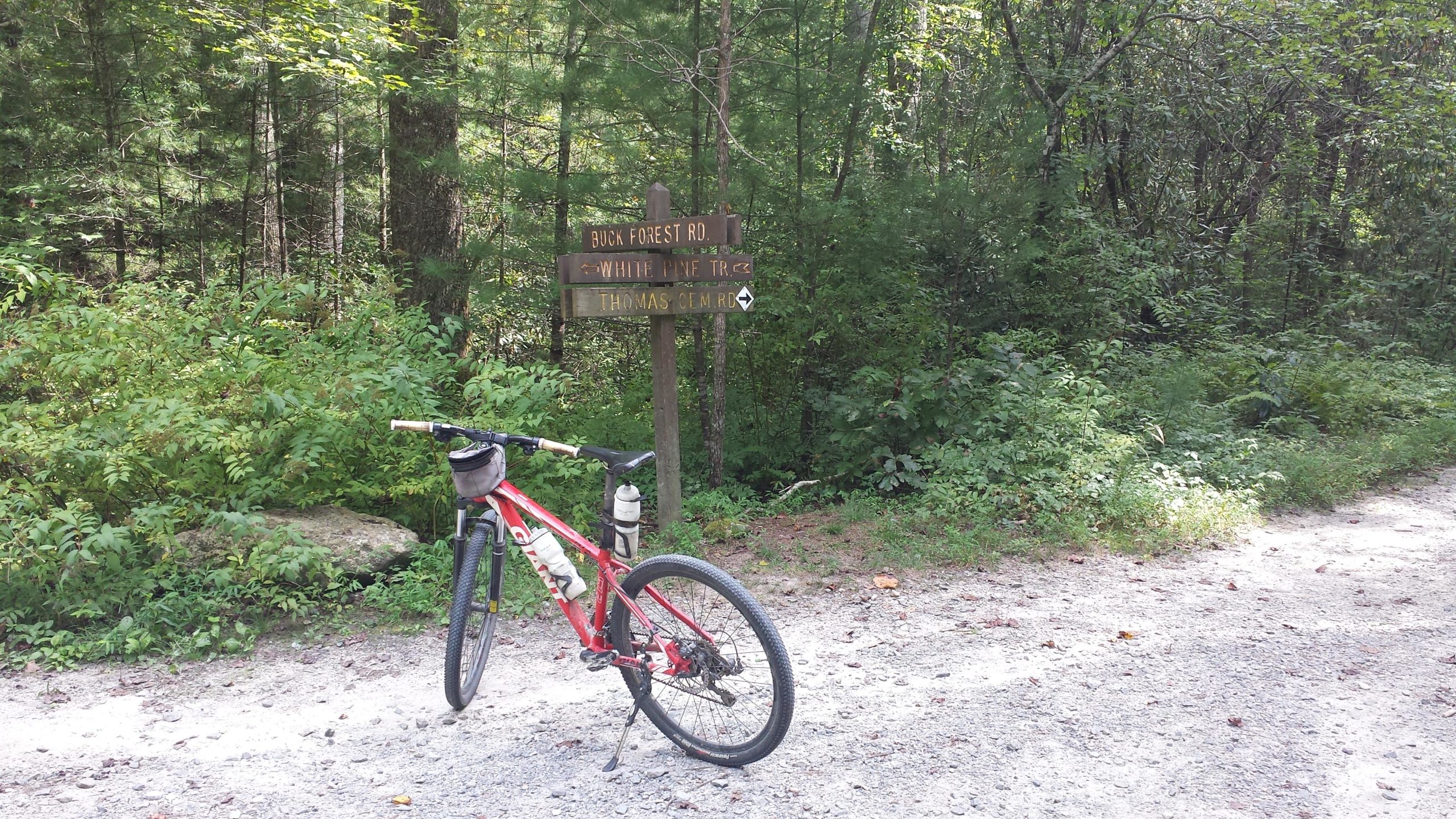 A mountain bike resting on a gravel path surrounded by lush green vegetation, with a wooden signpost in the background indicating directions for Buck Forest Road, White Pine Trail, and Thomas Cemetery Road. DuPont State Forest mountain bike trail.