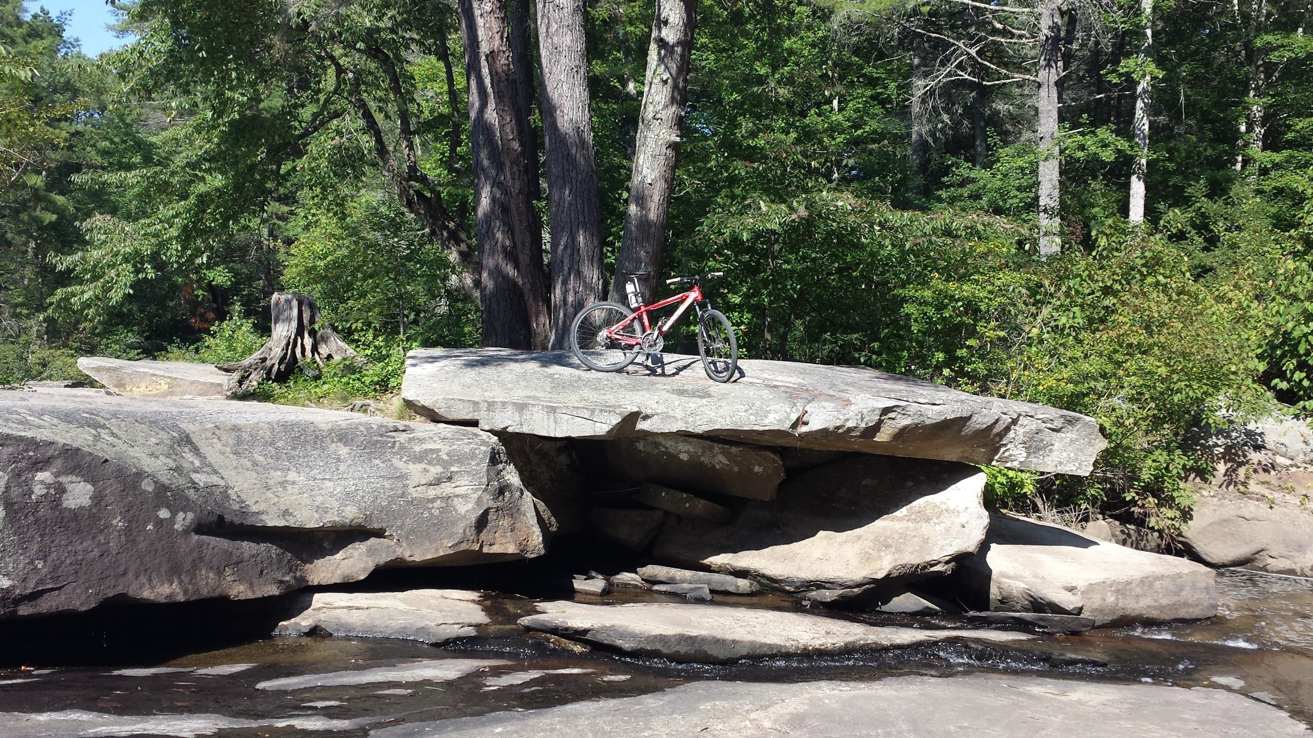 A red mountain bike resting on a large rock surrounded by lush green trees and vegetation, with a small stream flowing nearby. DuPont State Forest mountain bike trail.
