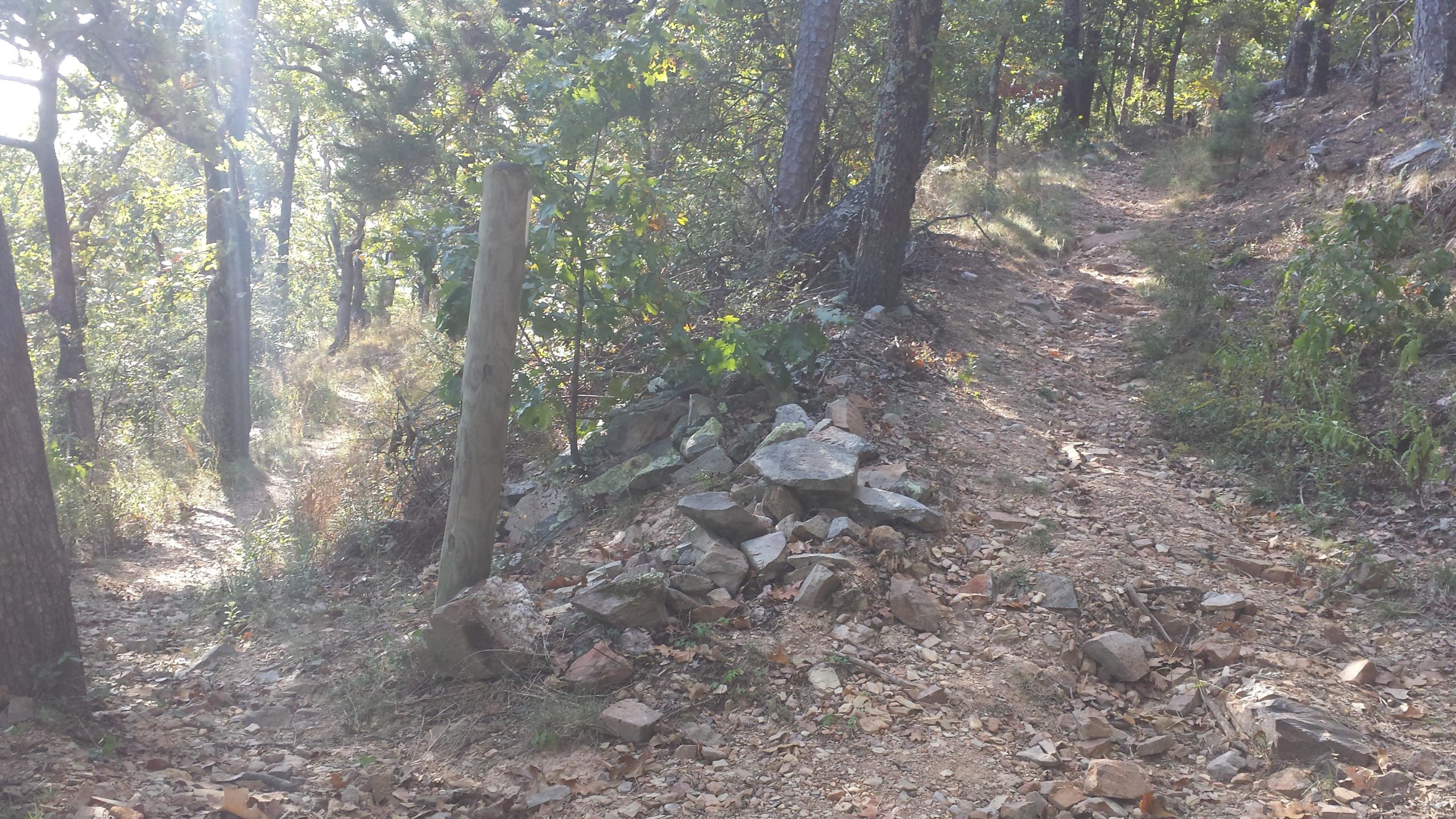 A narrow dirt trail winding through a wooded area, with tall trees and foliage on either side. There is a pile of rocks on one side of the path, and sunlight filters through the trees, creating a serene and natural atmosphere. Lake Ouachita Vista Trail (LOViT) mountain bike trail.